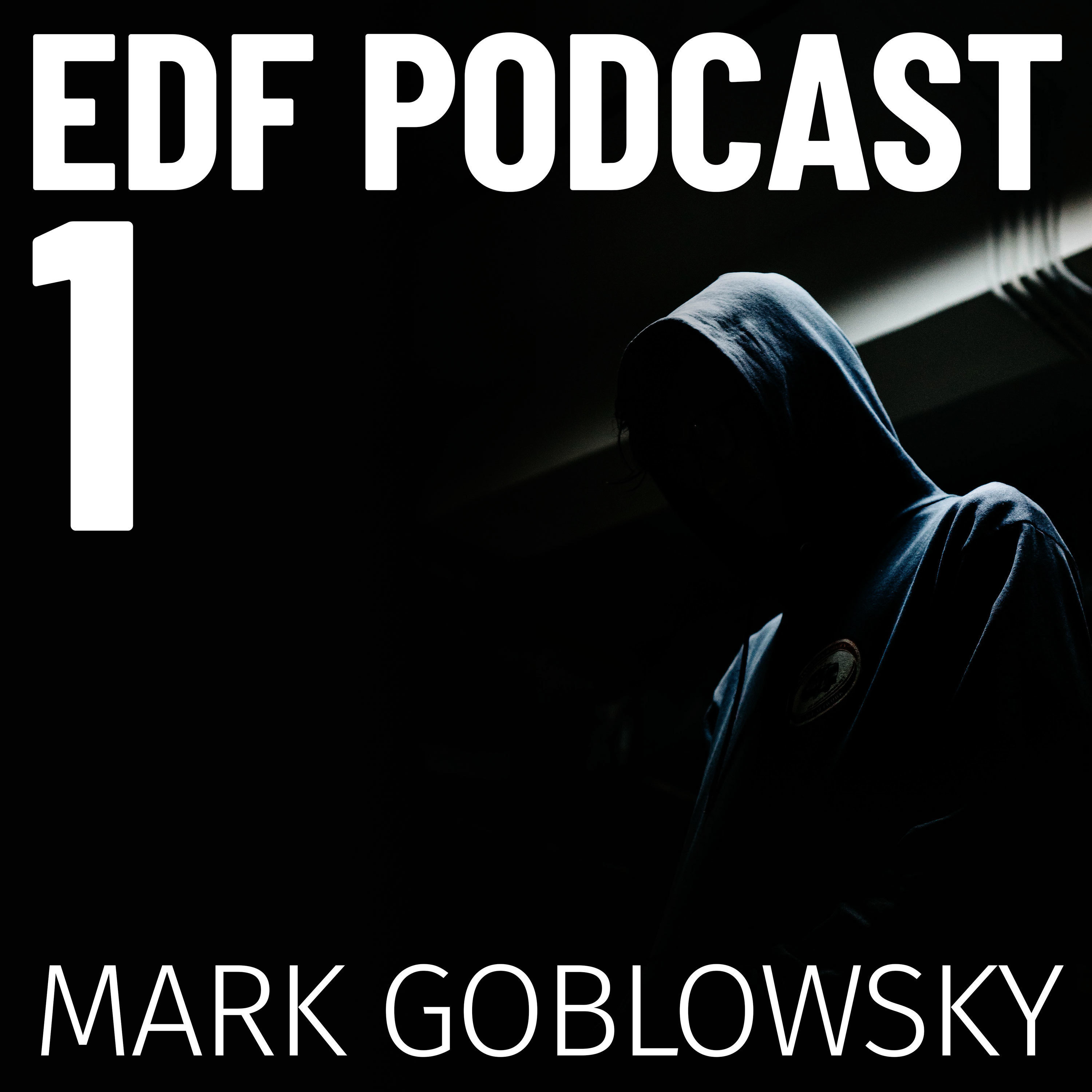 Everyday Fighter Podcast