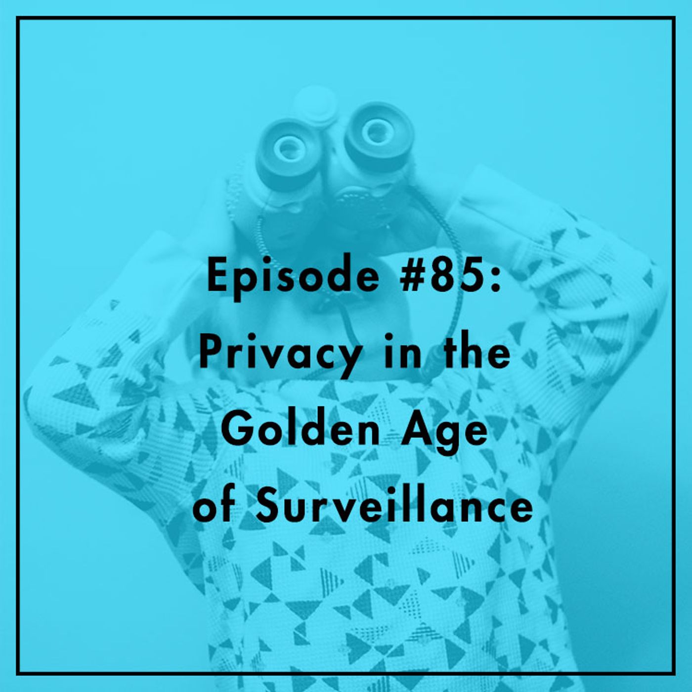 #85: Privacy in the Golden Age of Surveillance episode artwork