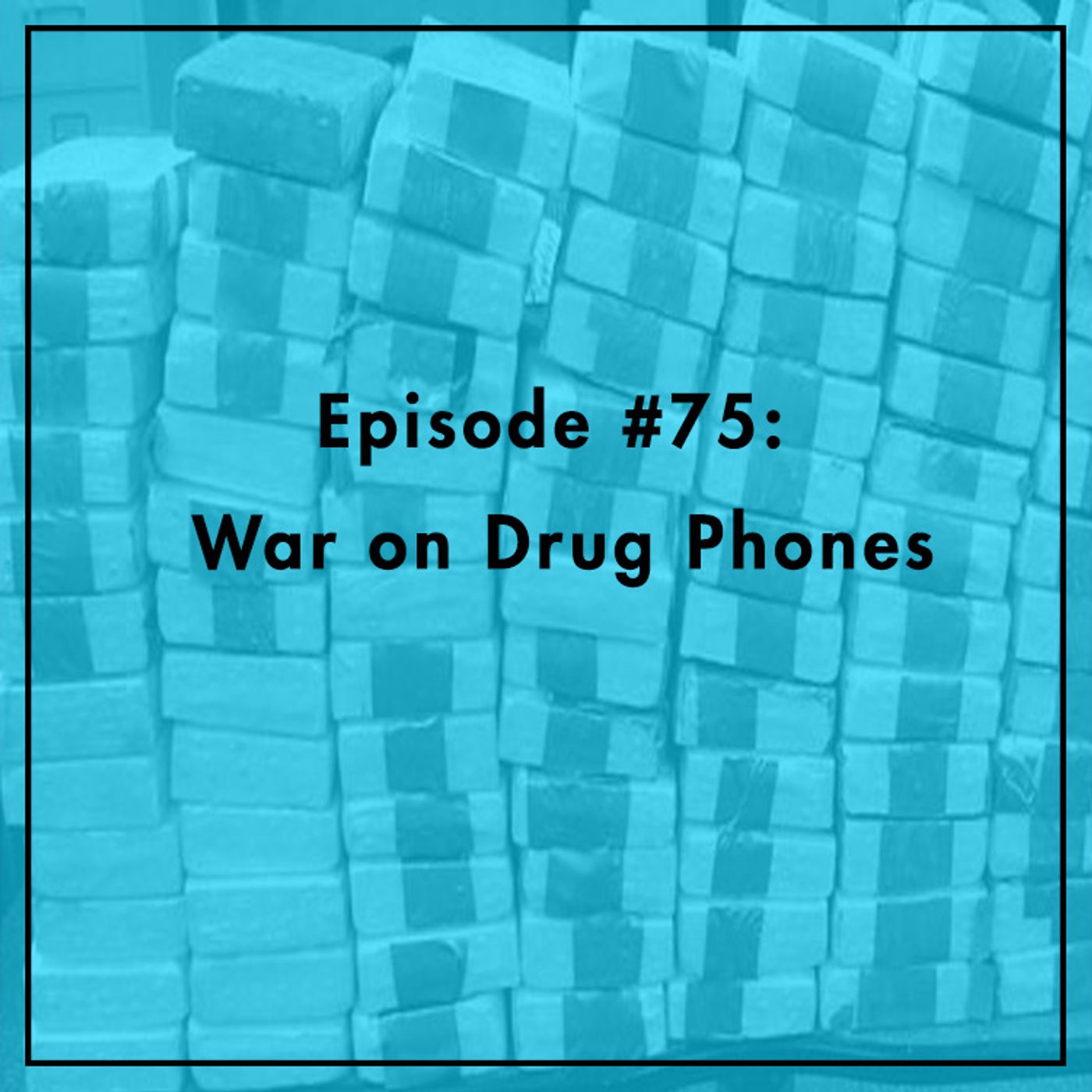 Tech Policy Podcast