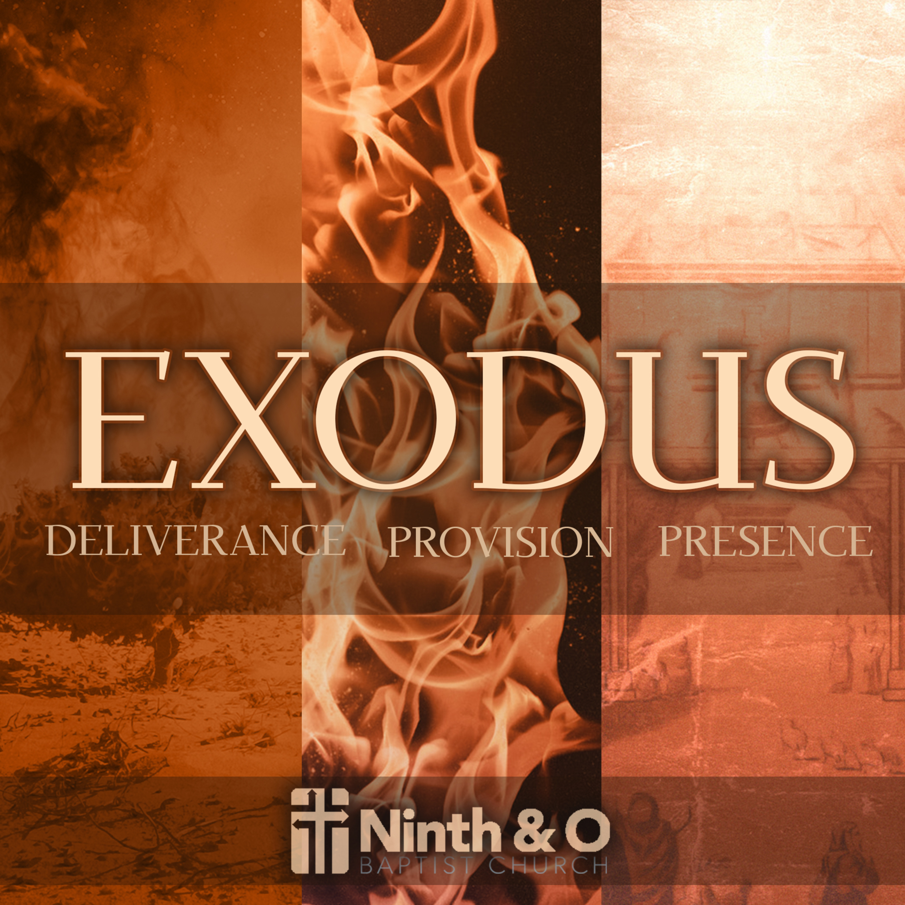 Loving God in All of Life (Exodus 20:18–26) - Dr. Bill Cook episode artwork
