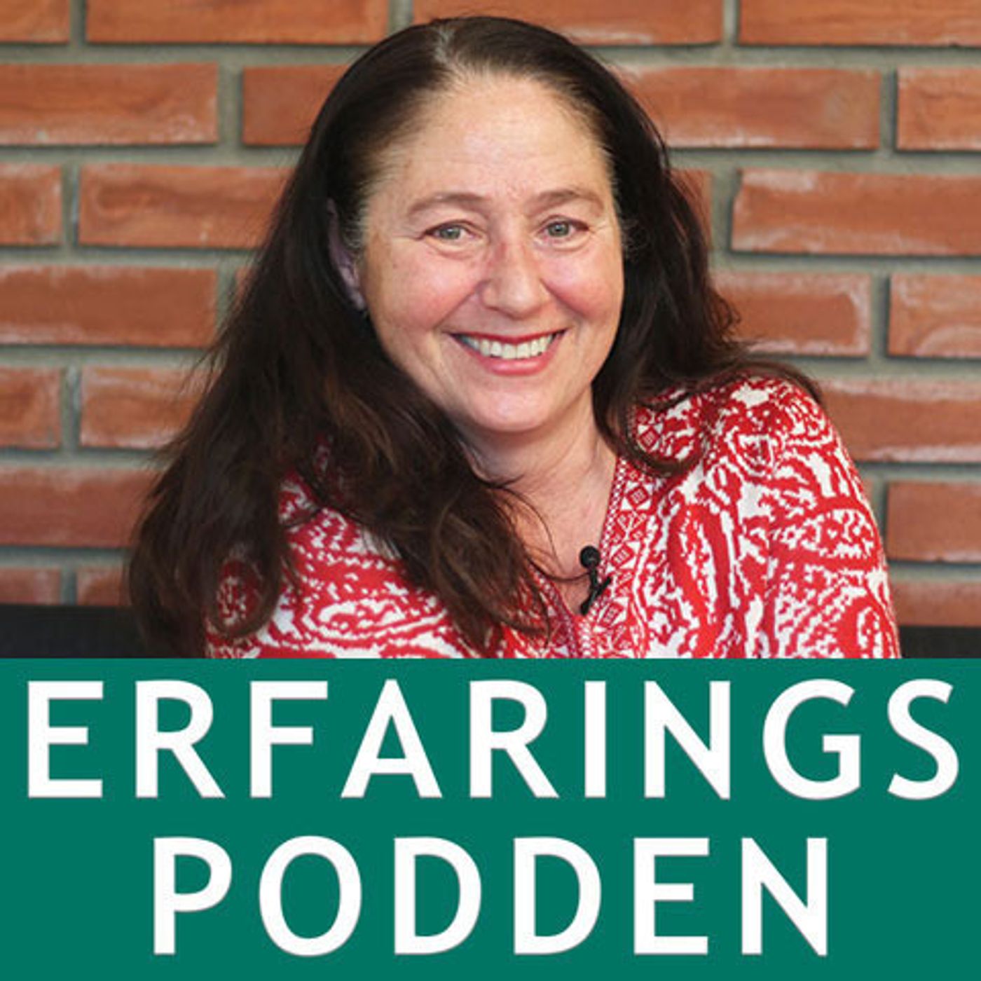 Annette Wolf El-Agroudi - Tilbakemeldingsverktøy og brukermedvirkning episode artwork