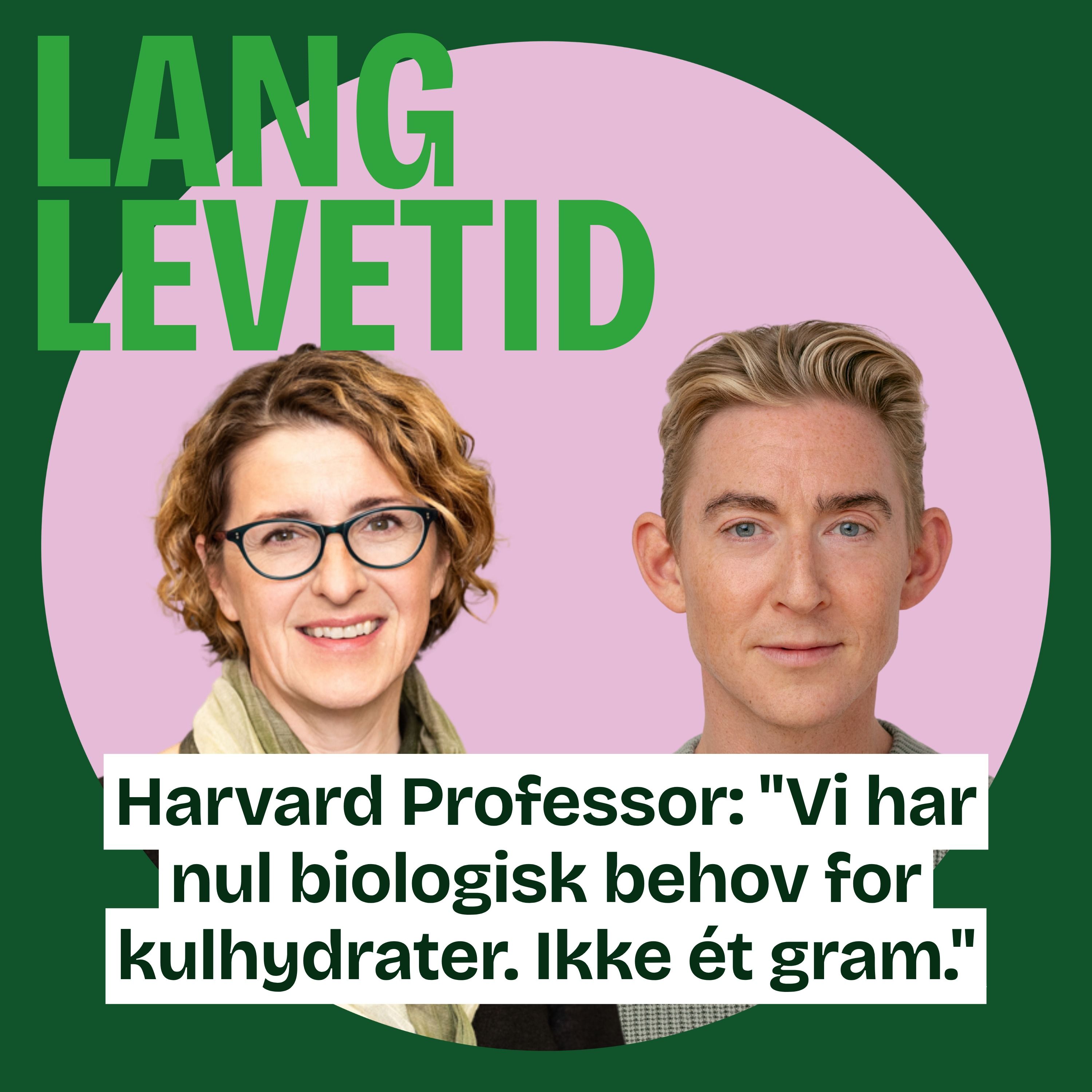 Harvard professor Georgia Ede - Vi har nul biologisk behov for kulhydrater