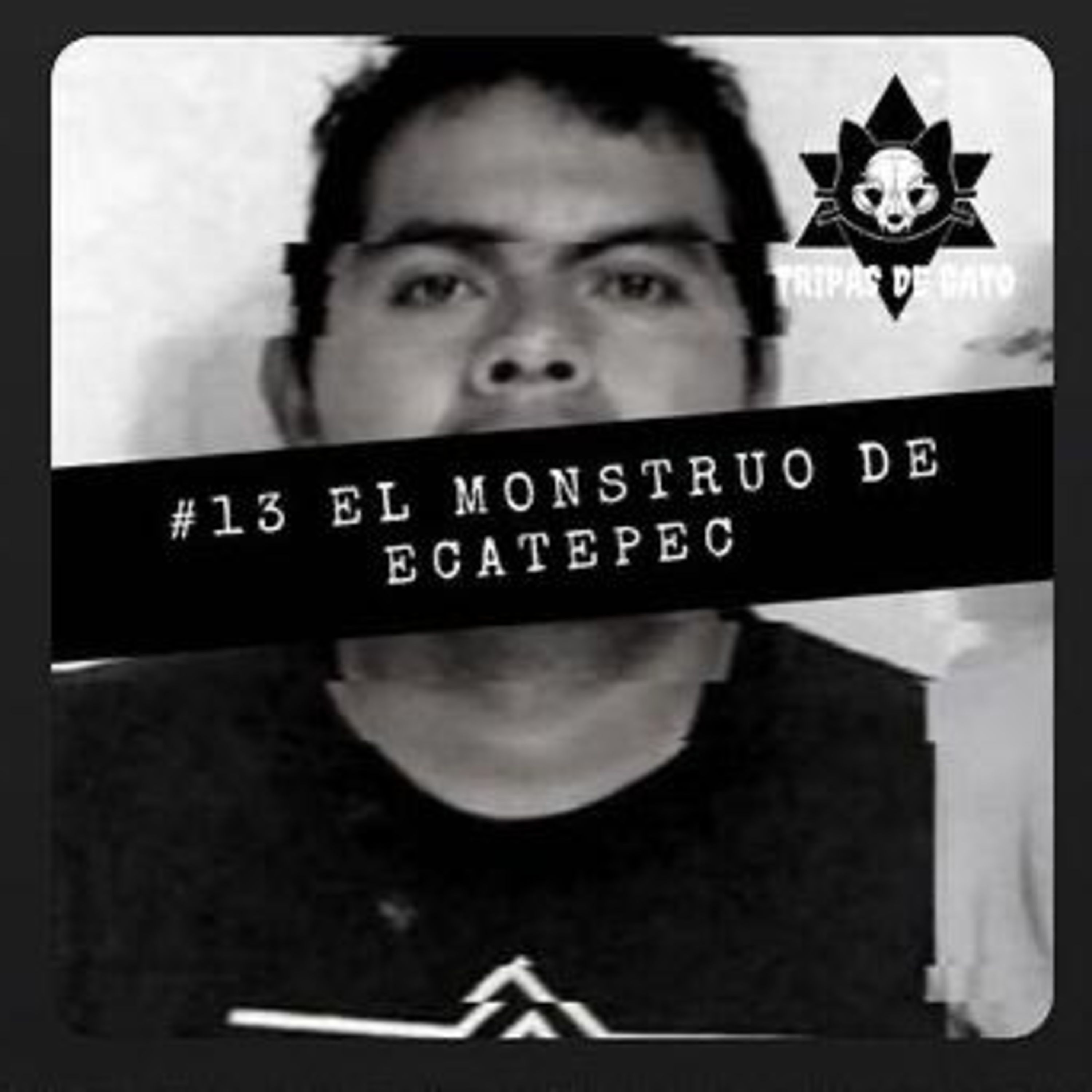 Portada de Tripas de Gato
