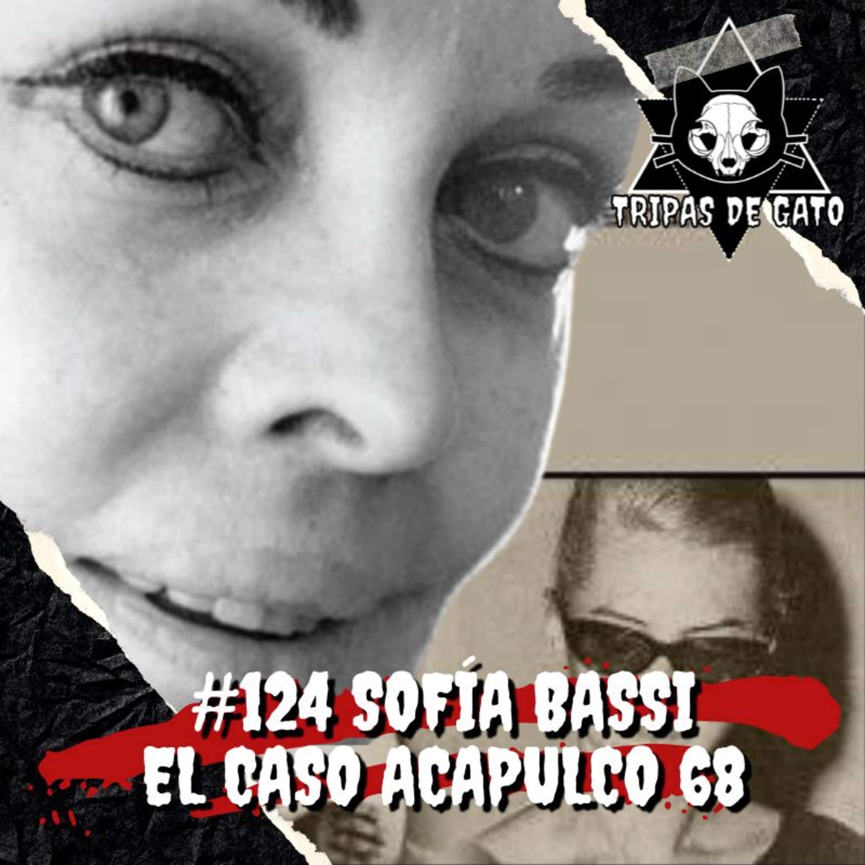Portada de Tripas de Gato