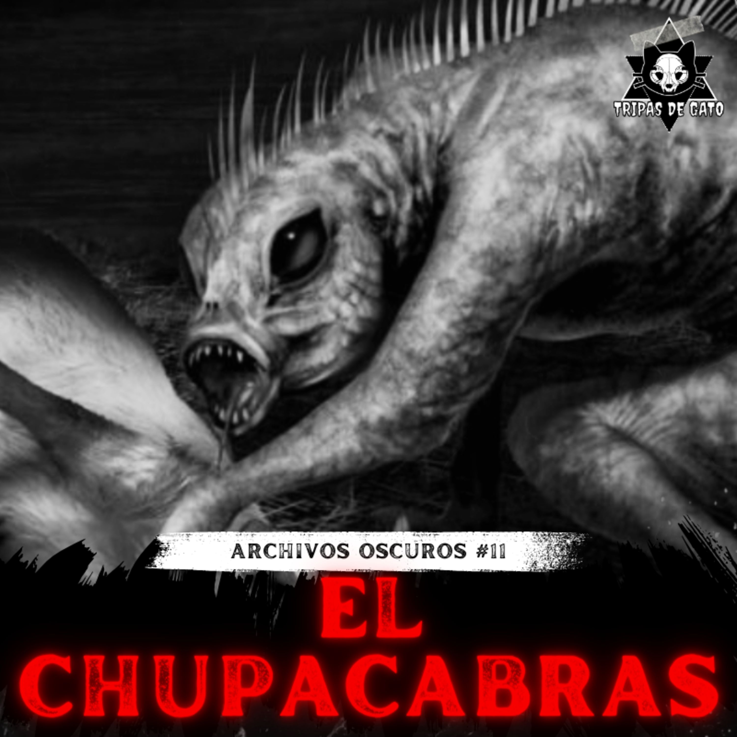 Portada de Tripas de Gato