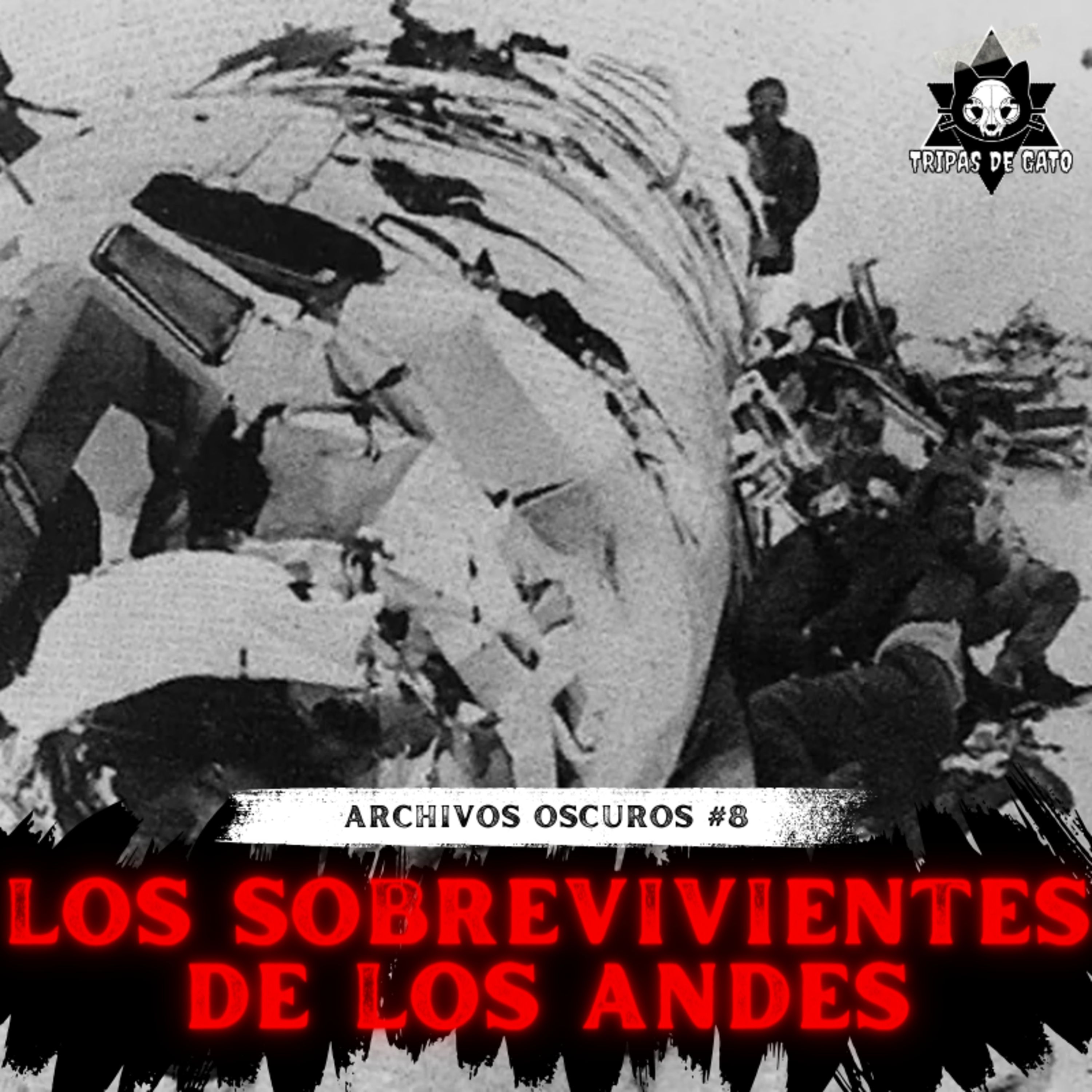 "Los Sobrevivientes de los Andes" | Archivos Oscuros Ep 8