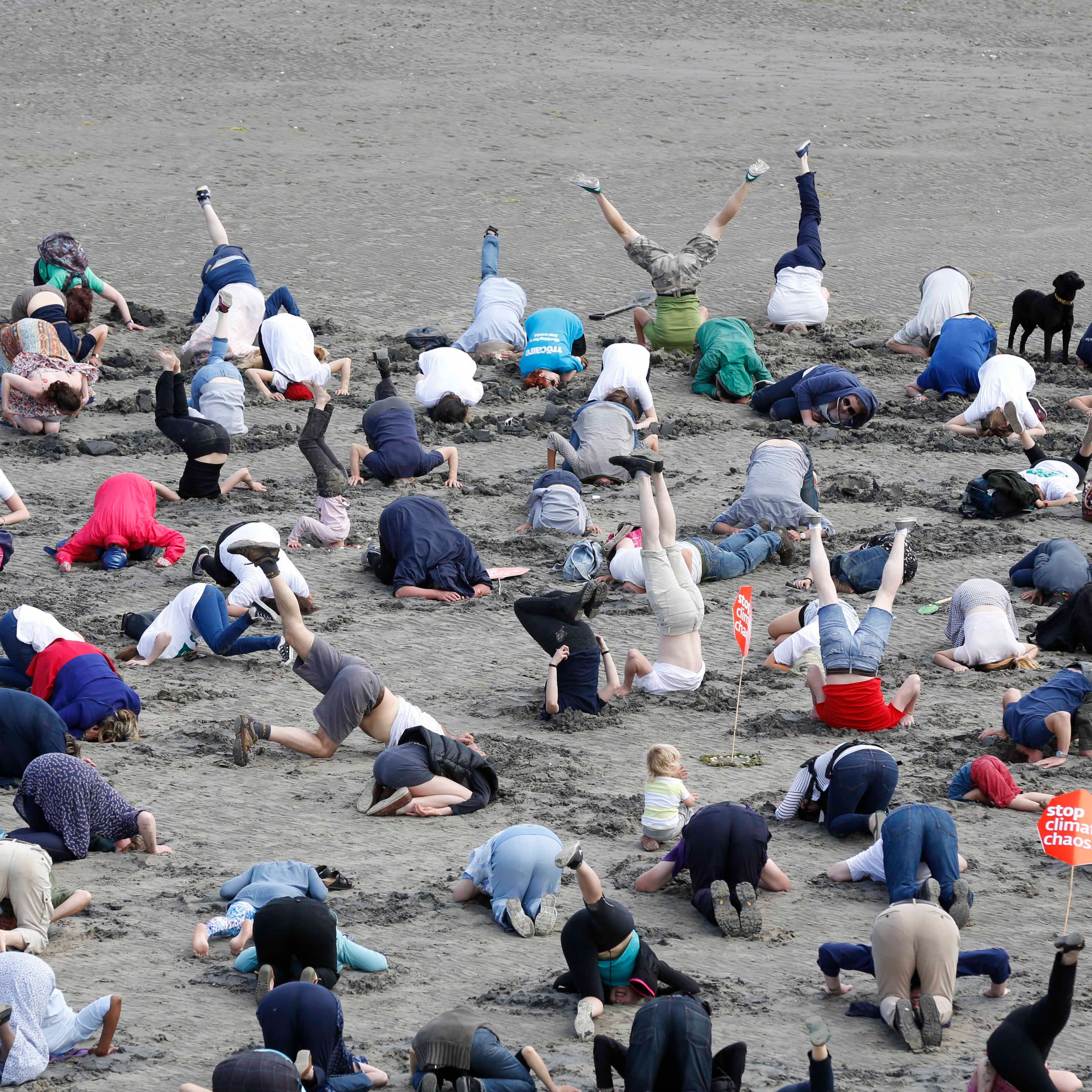 The Rise of DI (digital intelligence)