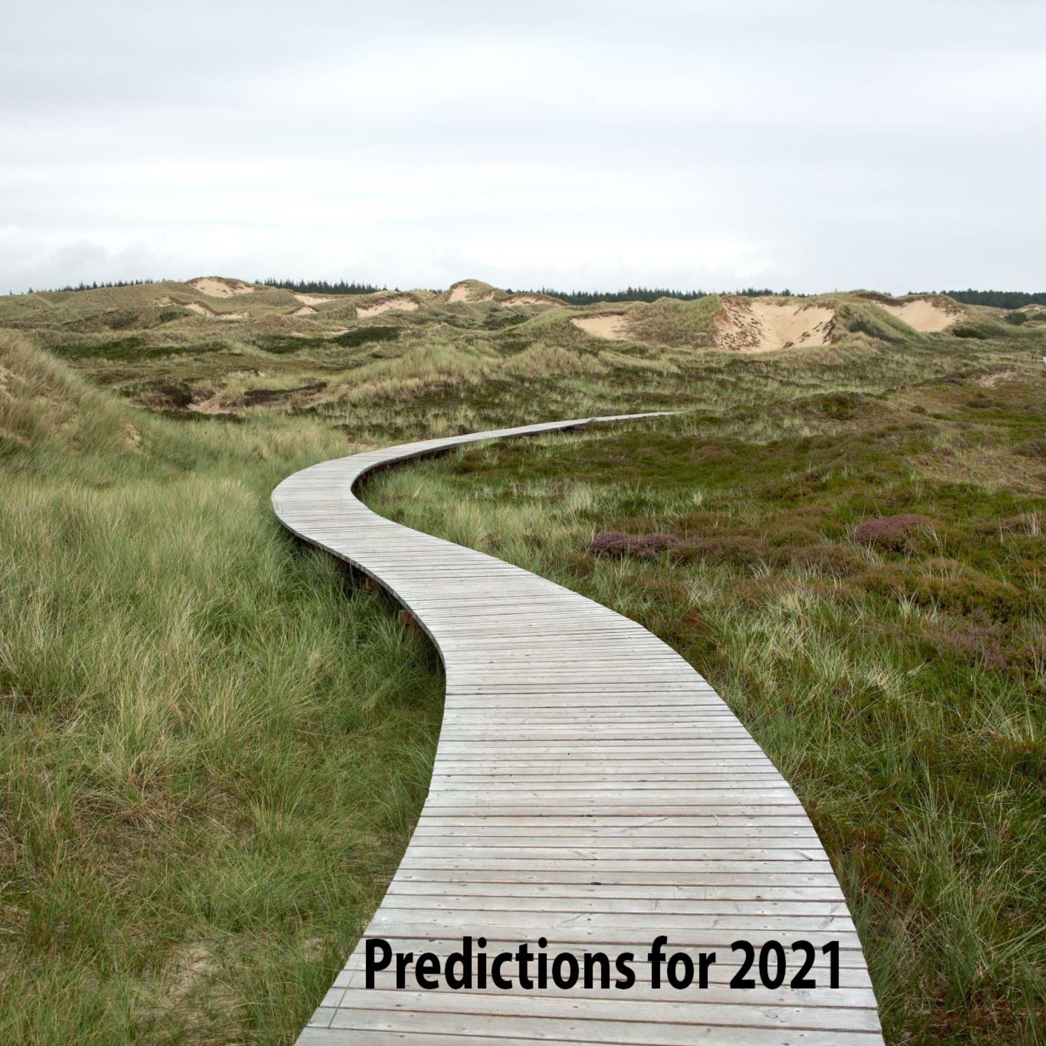 PREDICTIONS... 2021