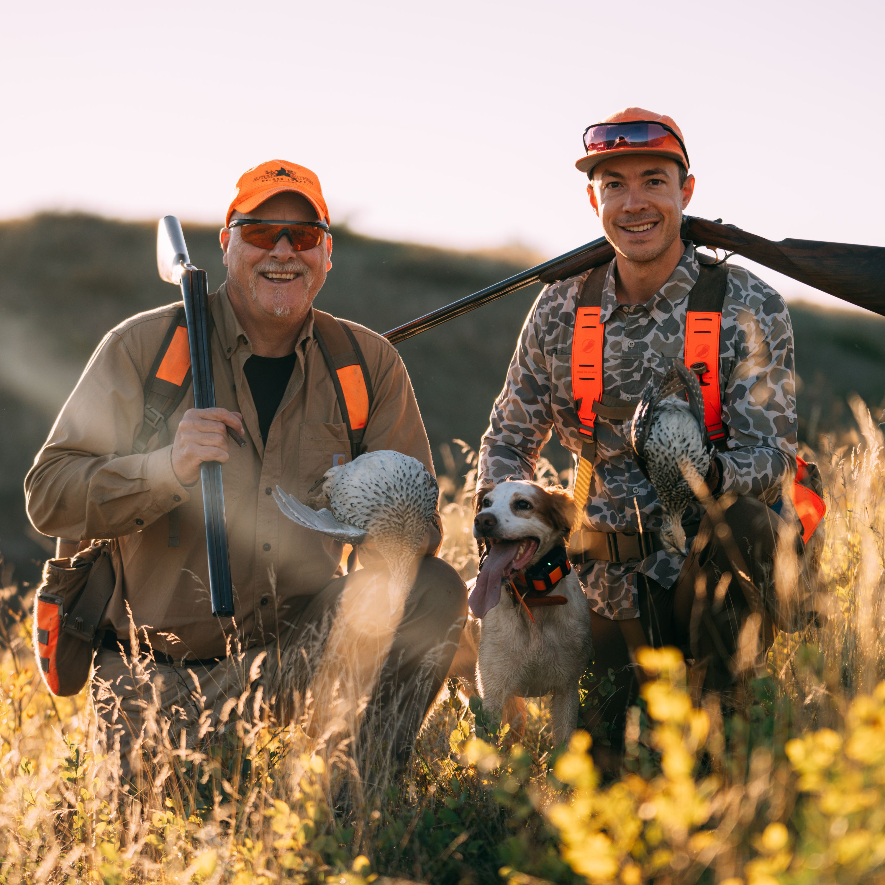#361 | Bird Dog Puppy Progress: Grouse Woods and Prairie Sharptails episode artwork