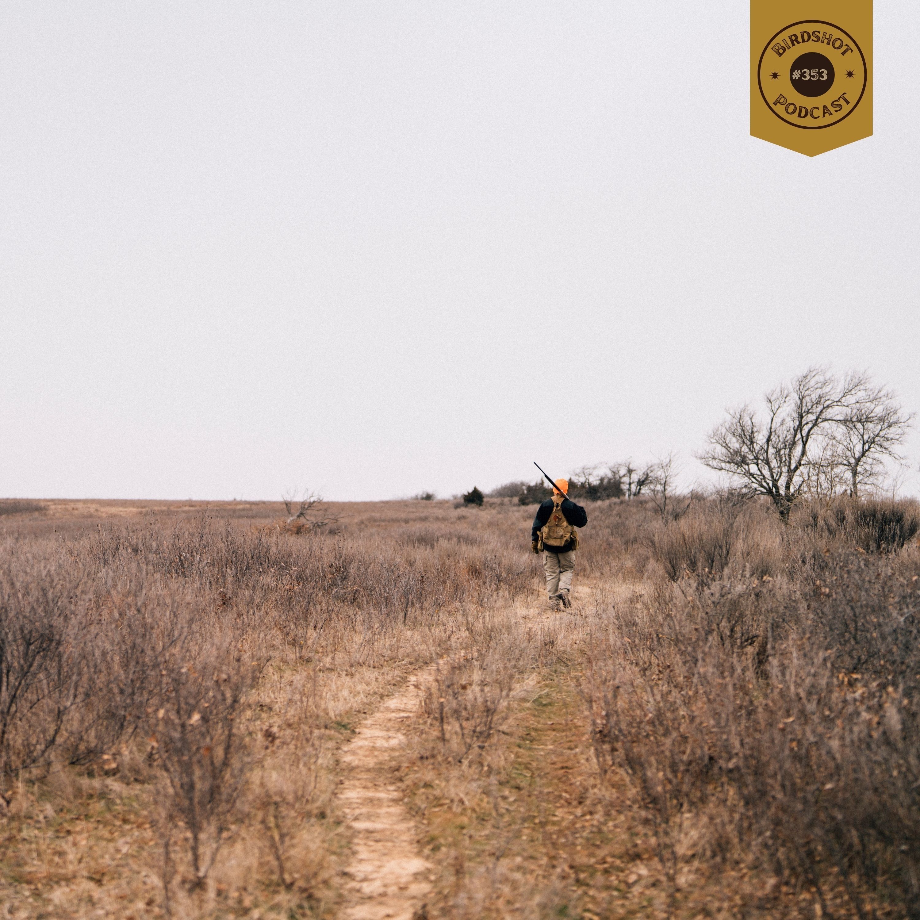 #353 | Why 95% of Quail Broods Need Disturbed Ground episode artwork