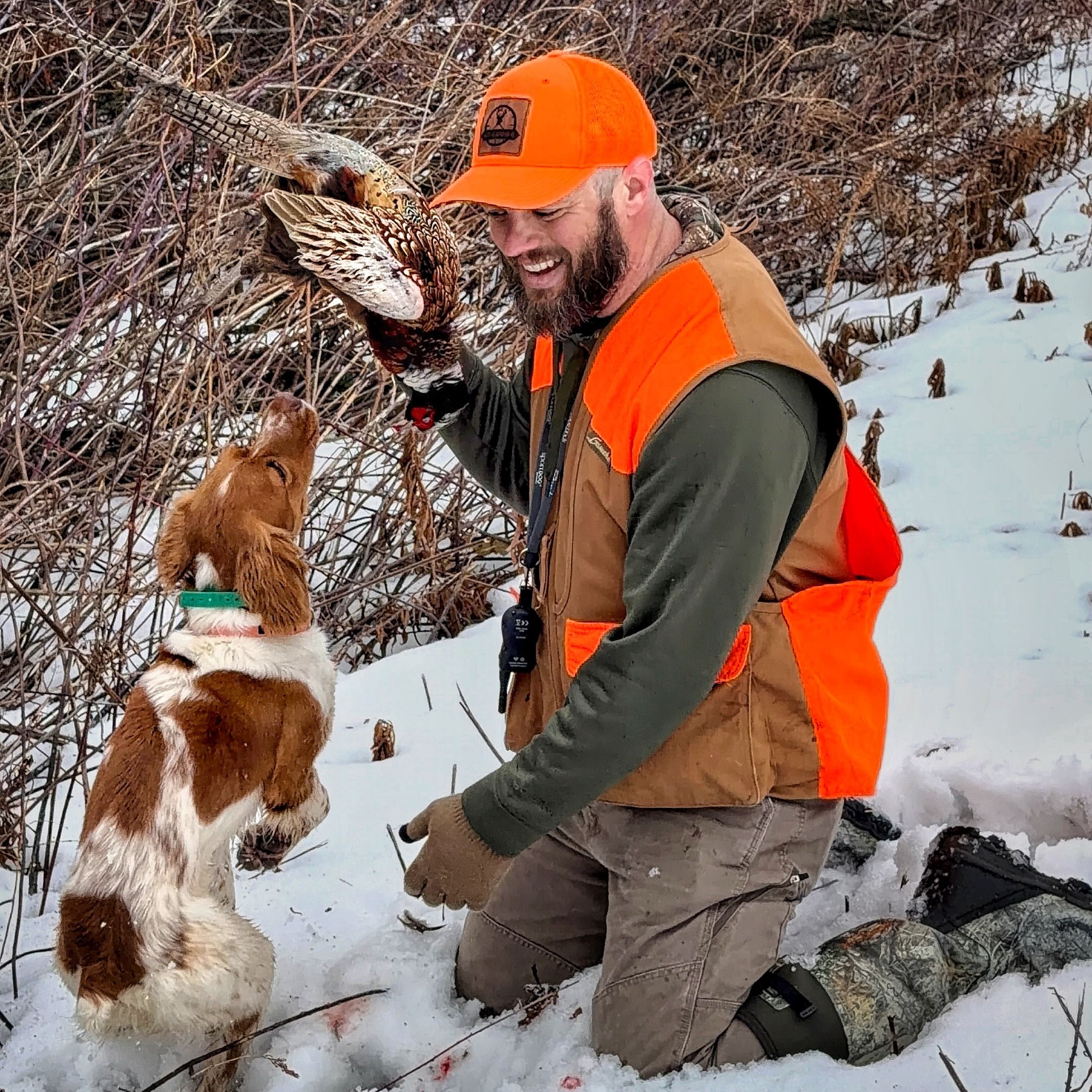 #362 | Young Bird Dogs: Learning to See Progress With Aaron Hepler episode artwork