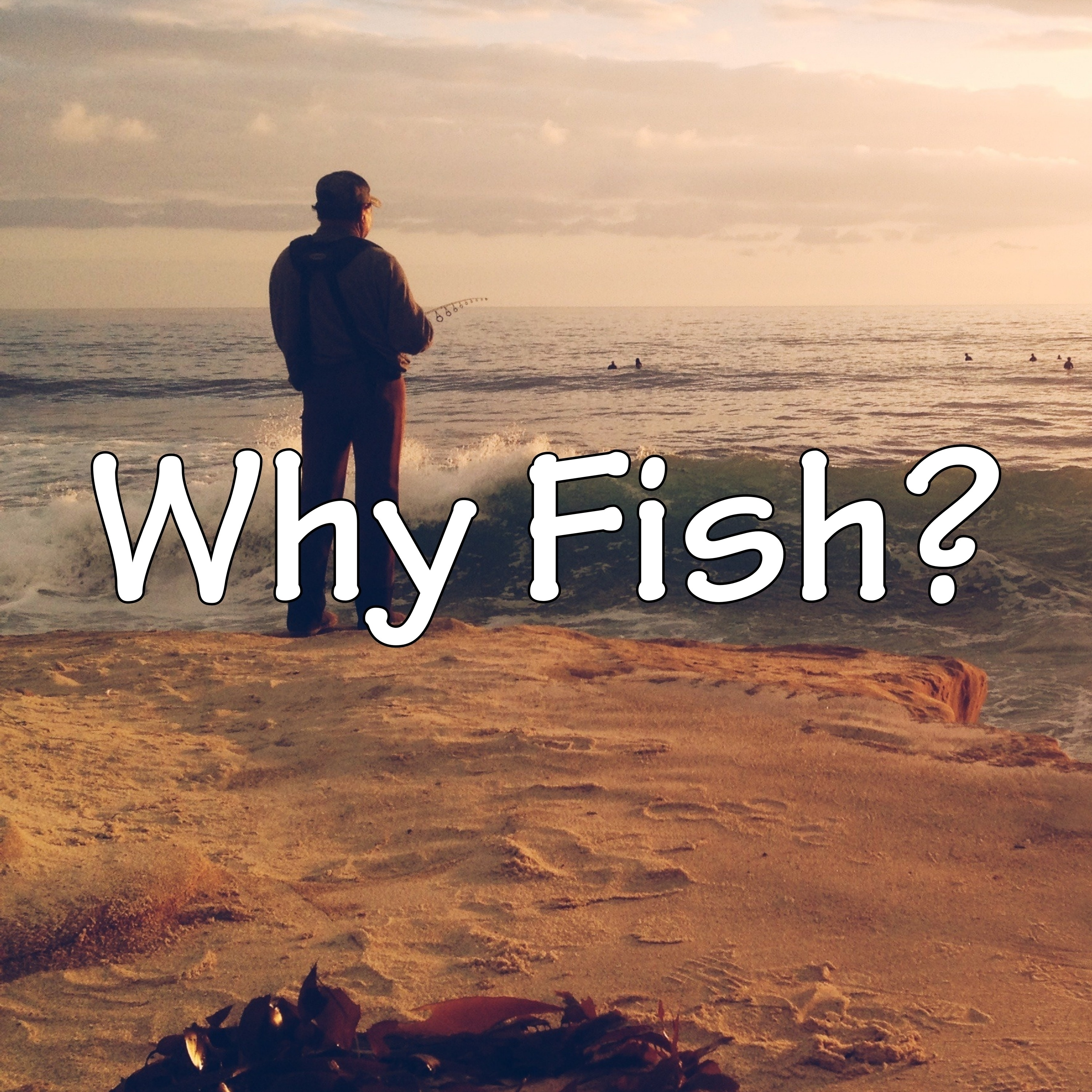 Why Fish? episode artwork