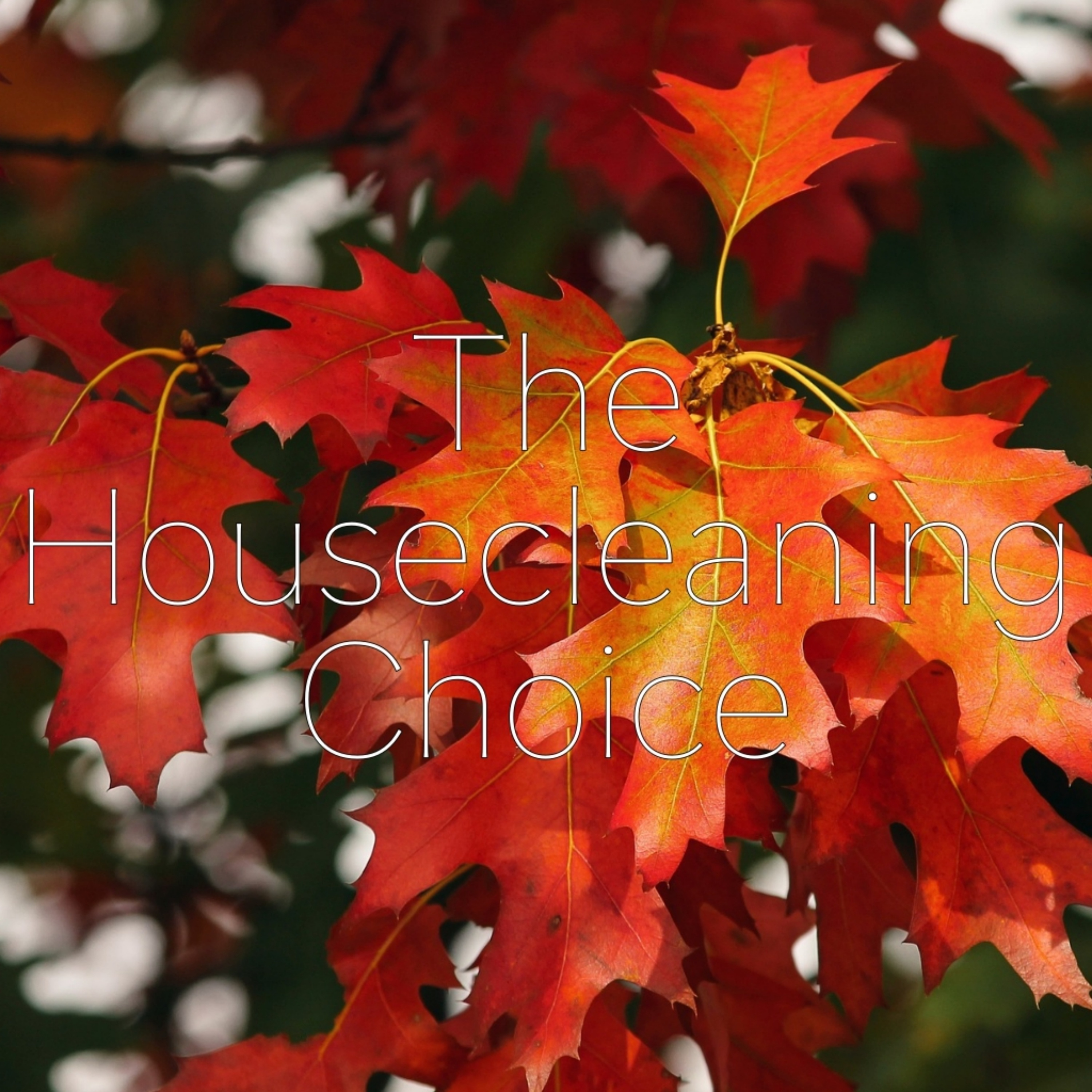 The Housecleaning Choice episode artwork