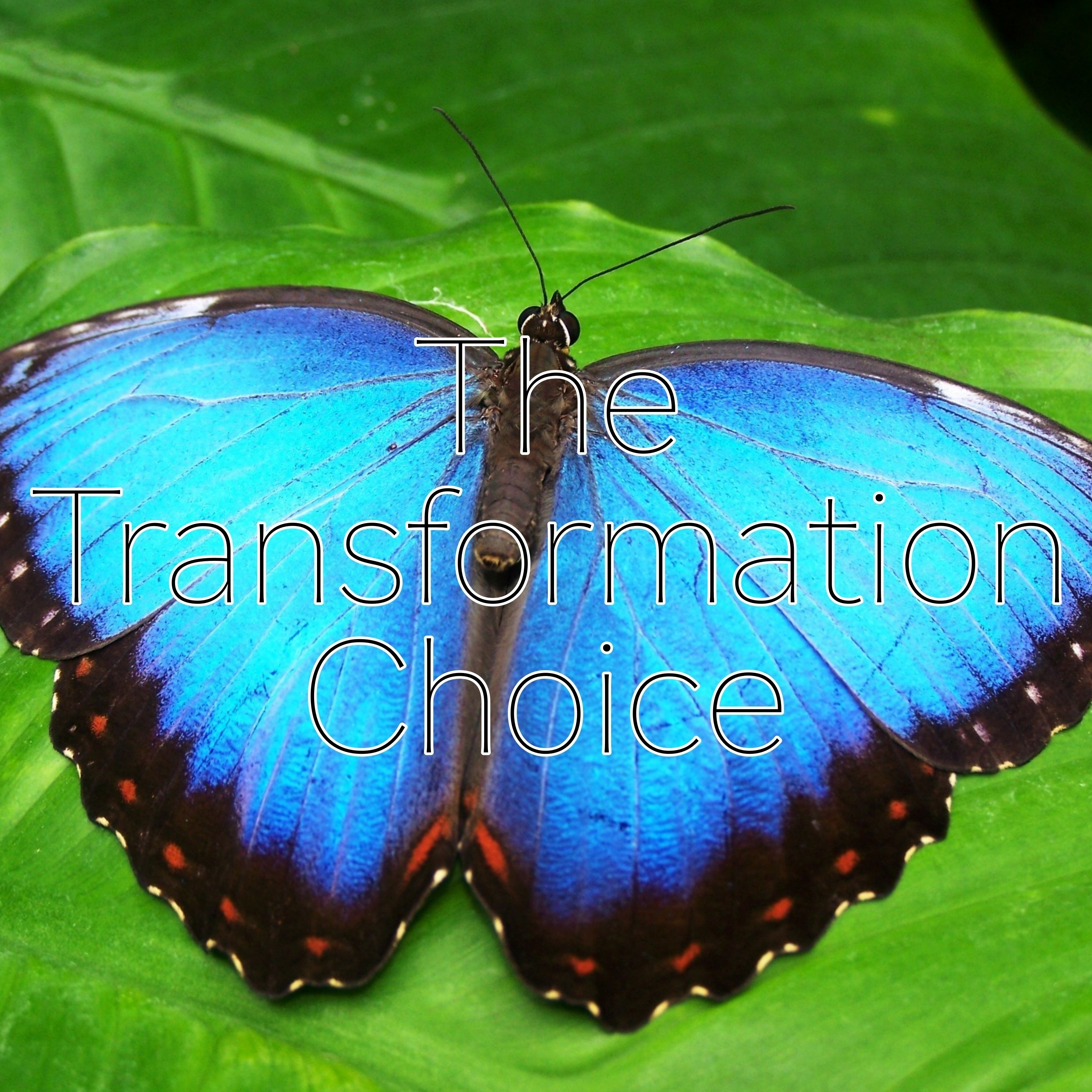 The Transformation Choice episode artwork