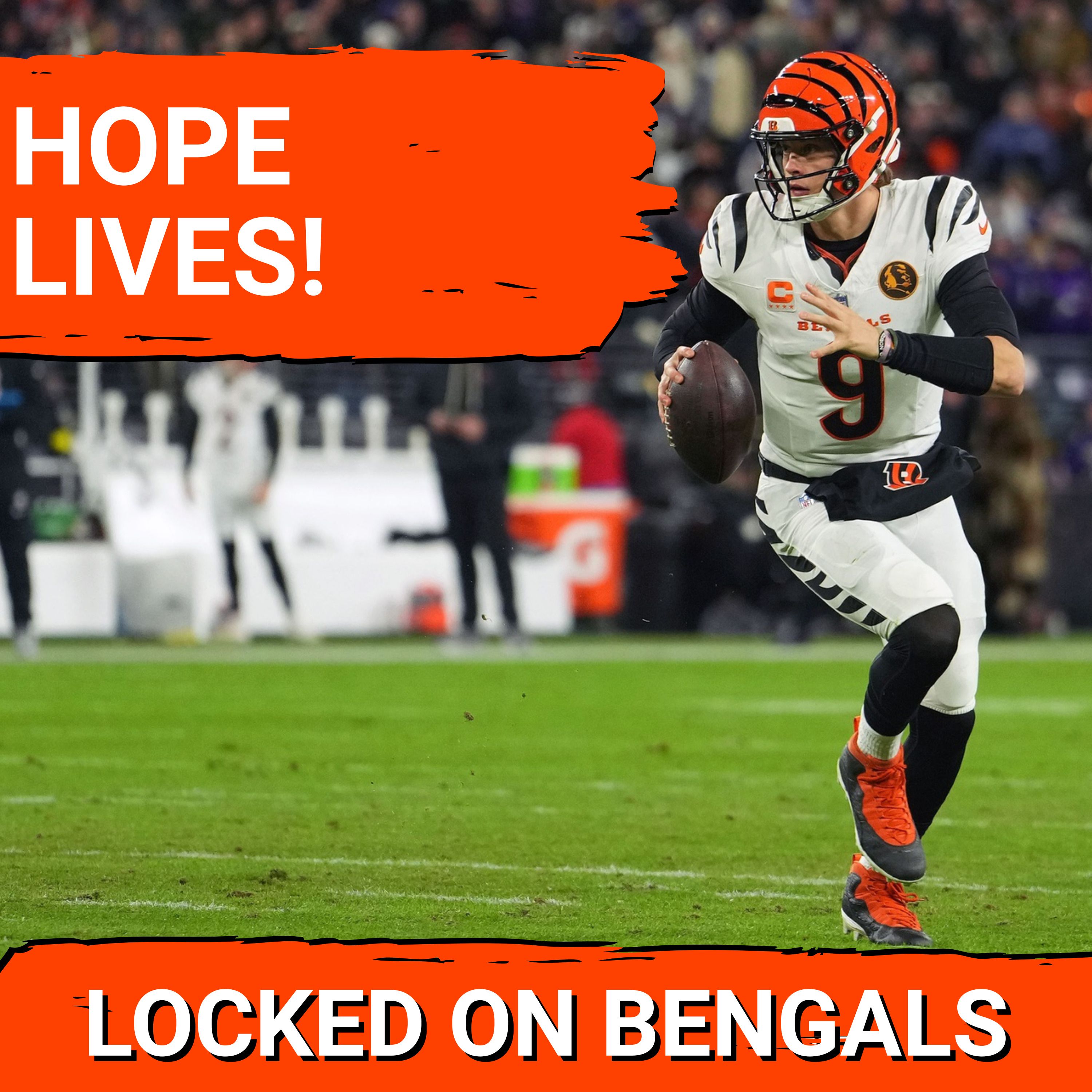 Bengals DOMINATE Ravens in Joe Burrow's Return, Keep PLAYOFF Hopes Alive Bengals DOMINATE Ravens in Joe Burrow's Return, Keep PLAYOFF Hopes Alive