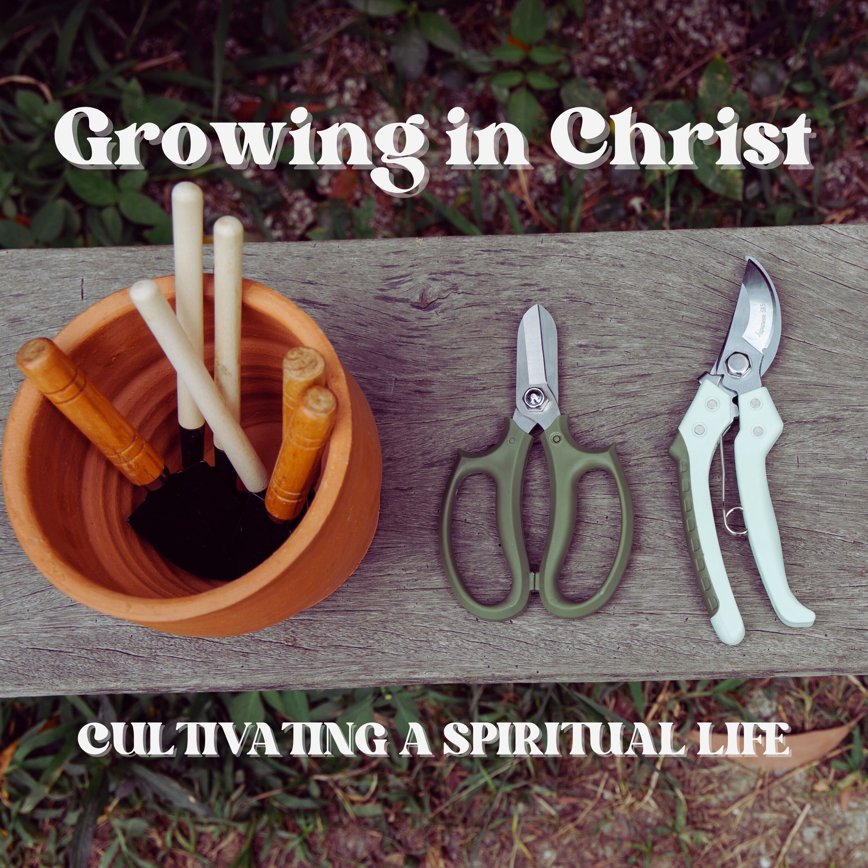 Living Out Your Faith