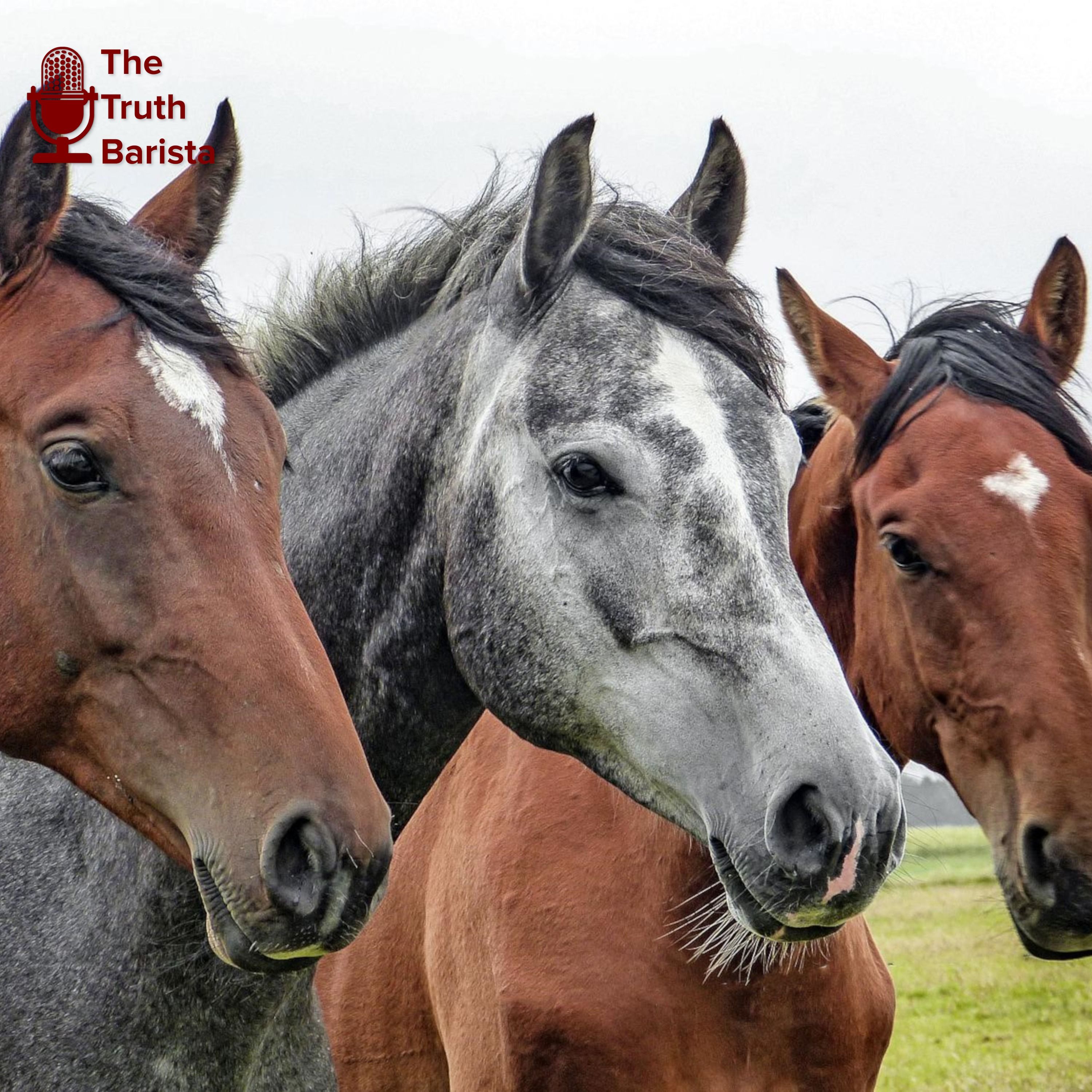 Getting Our Heads on Straight: Western vs Hebraic Thinking, Part 2