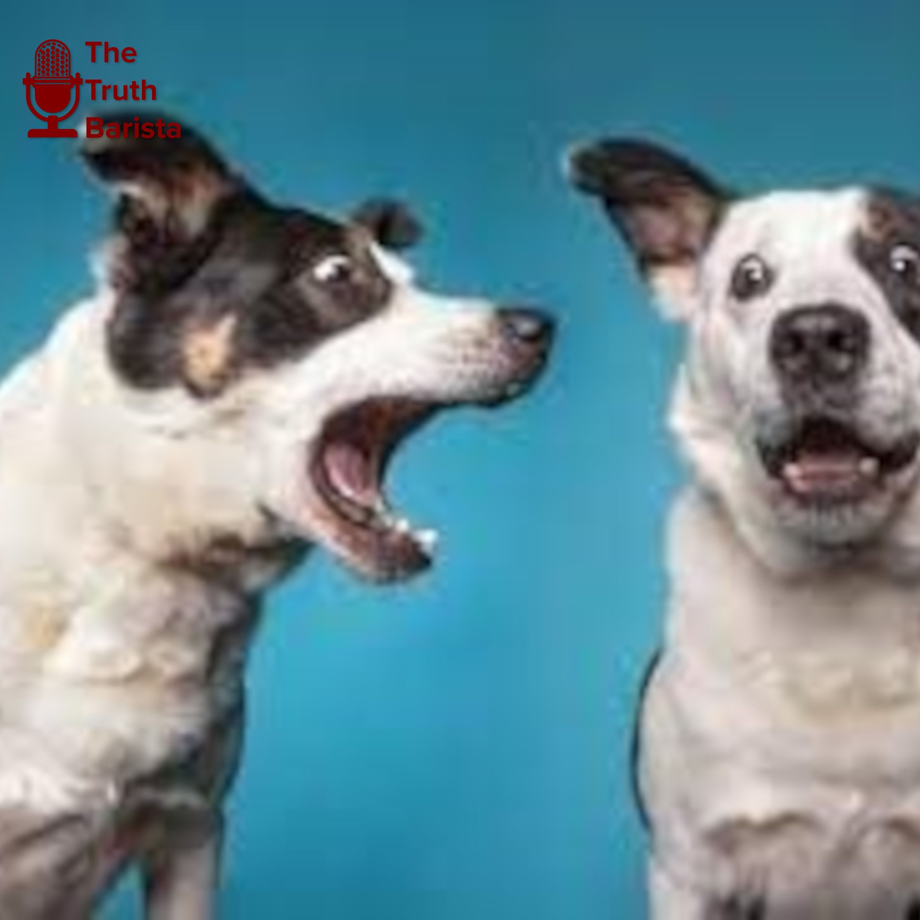 Barking Dogs or Silent Dogs?