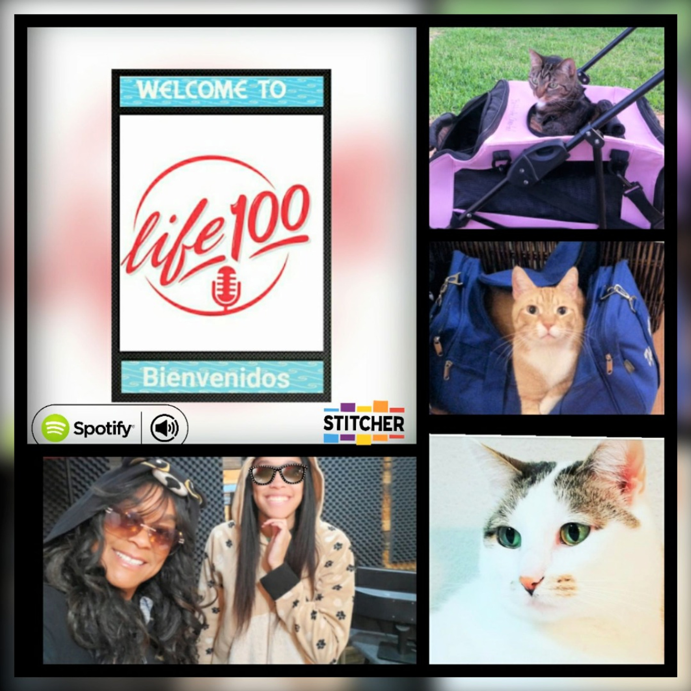 Life 100 Podcast