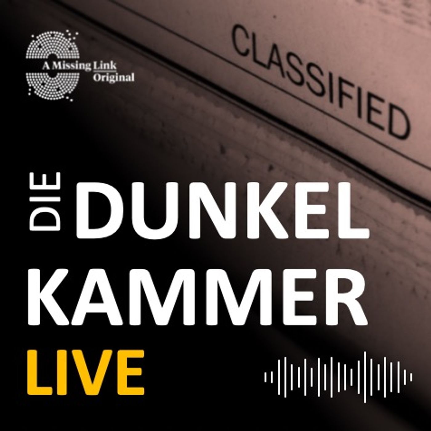 Die Dunkelkammer – Der Investigativ-Podcast