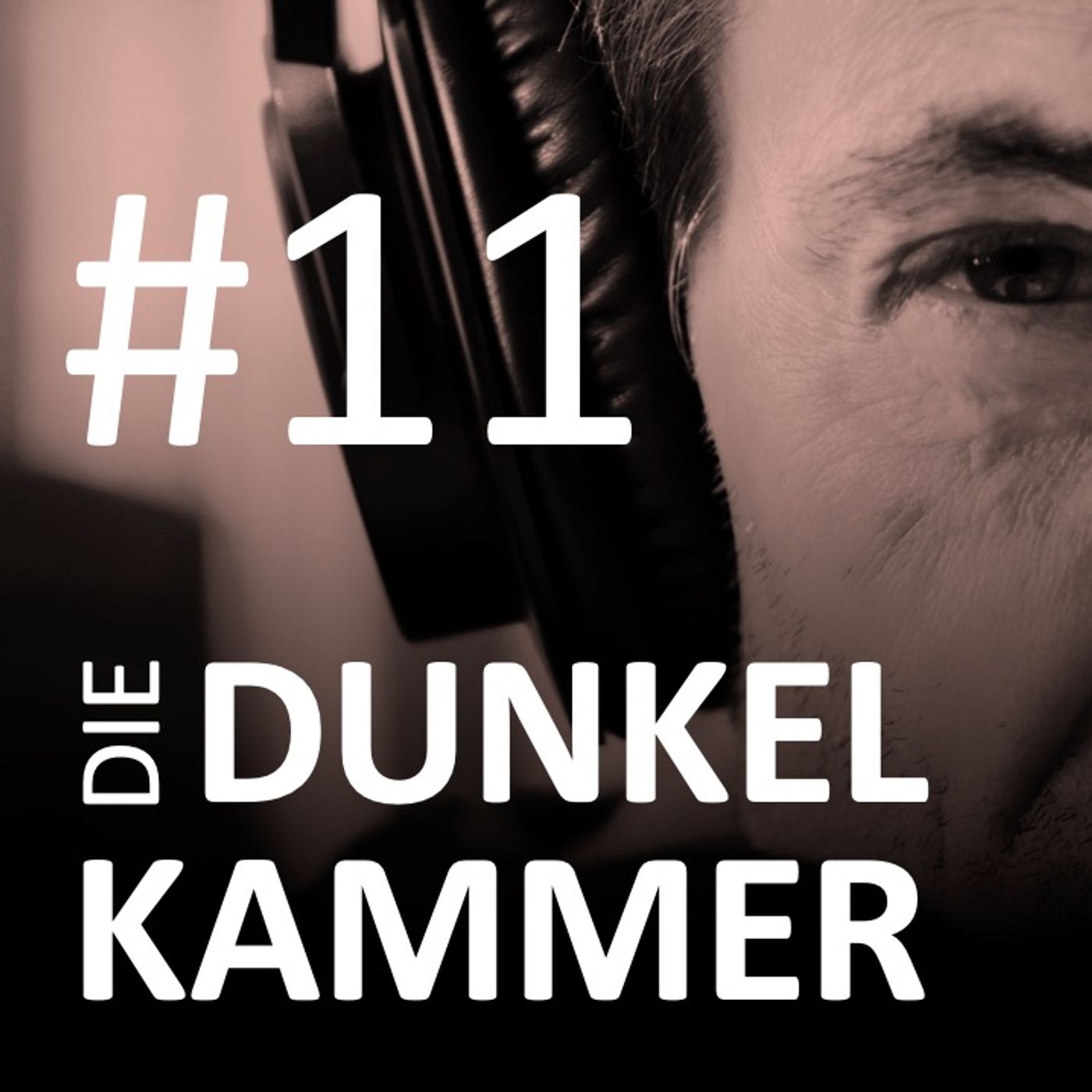 Die Dunkelkammer – Der Investigativ-Podcast