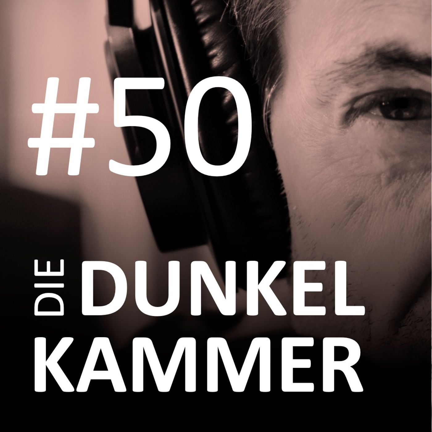 #50 Zwei U-Ausschüsse & ein Wahlkampf // Die Signa-Krise: Wo war KPMG?