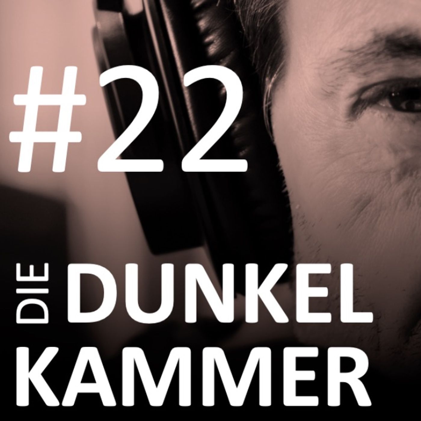 #22 Russland-Sanktionen: Lärchen aus Kirgisistan / Der Fall Miklautz: Eine Staatsanwaltschaft auf Gerüchtejagd