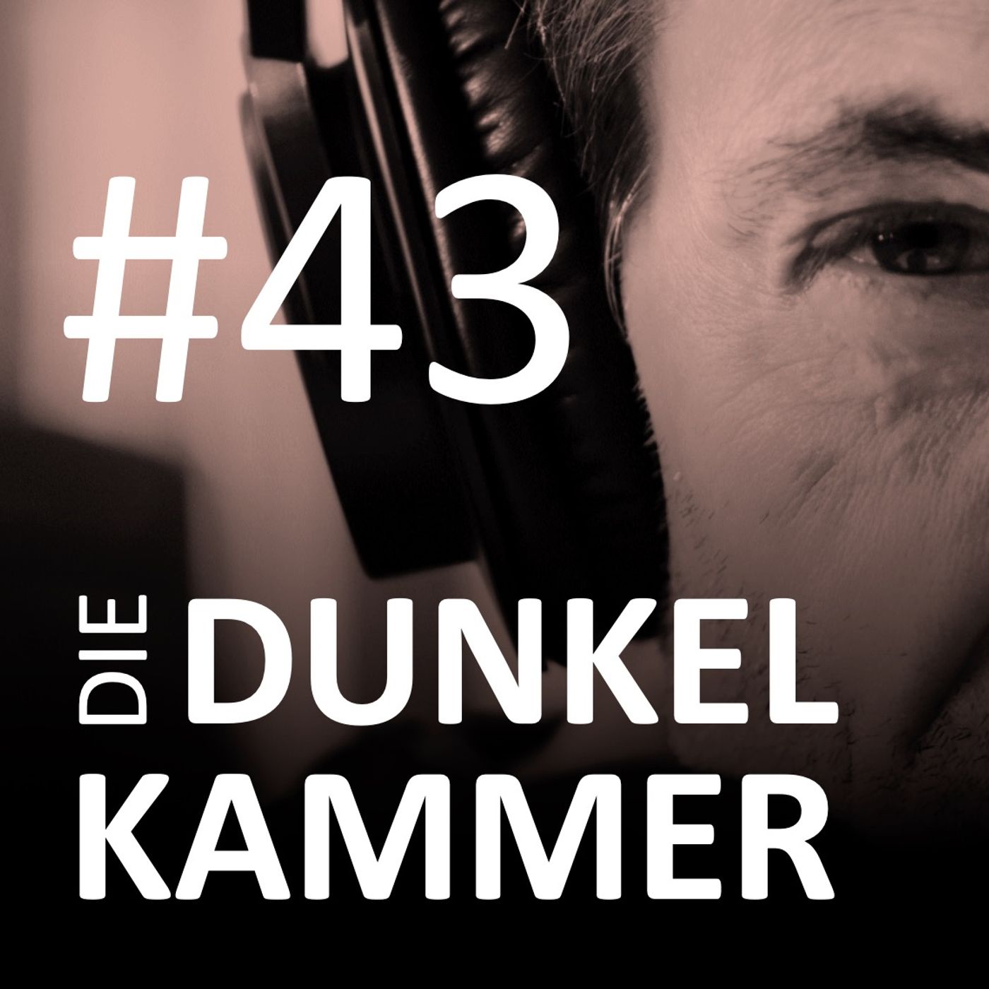 #43 Der Fall Pilnacek #1 "Ich will es nicht" - Ein geheimes Tape und dessen Hersteller