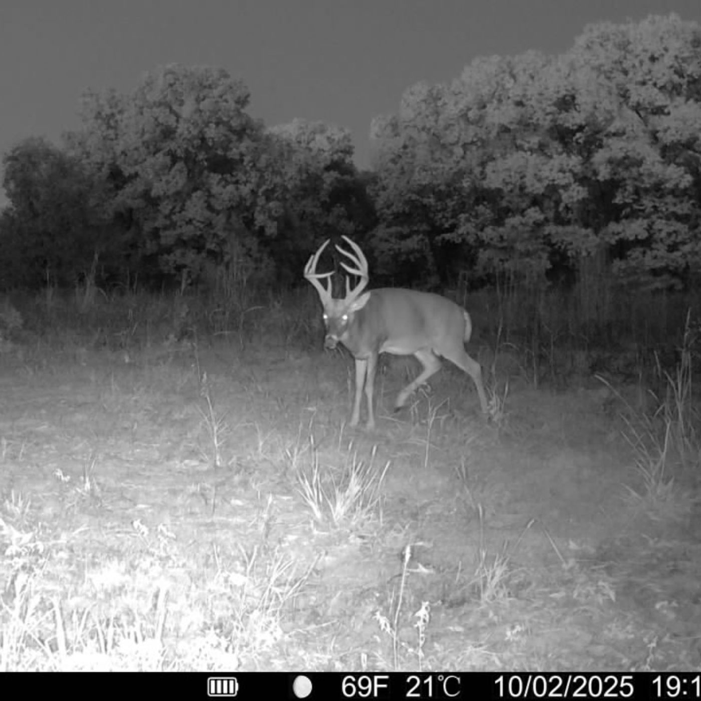 October Trail Camera Manuscript