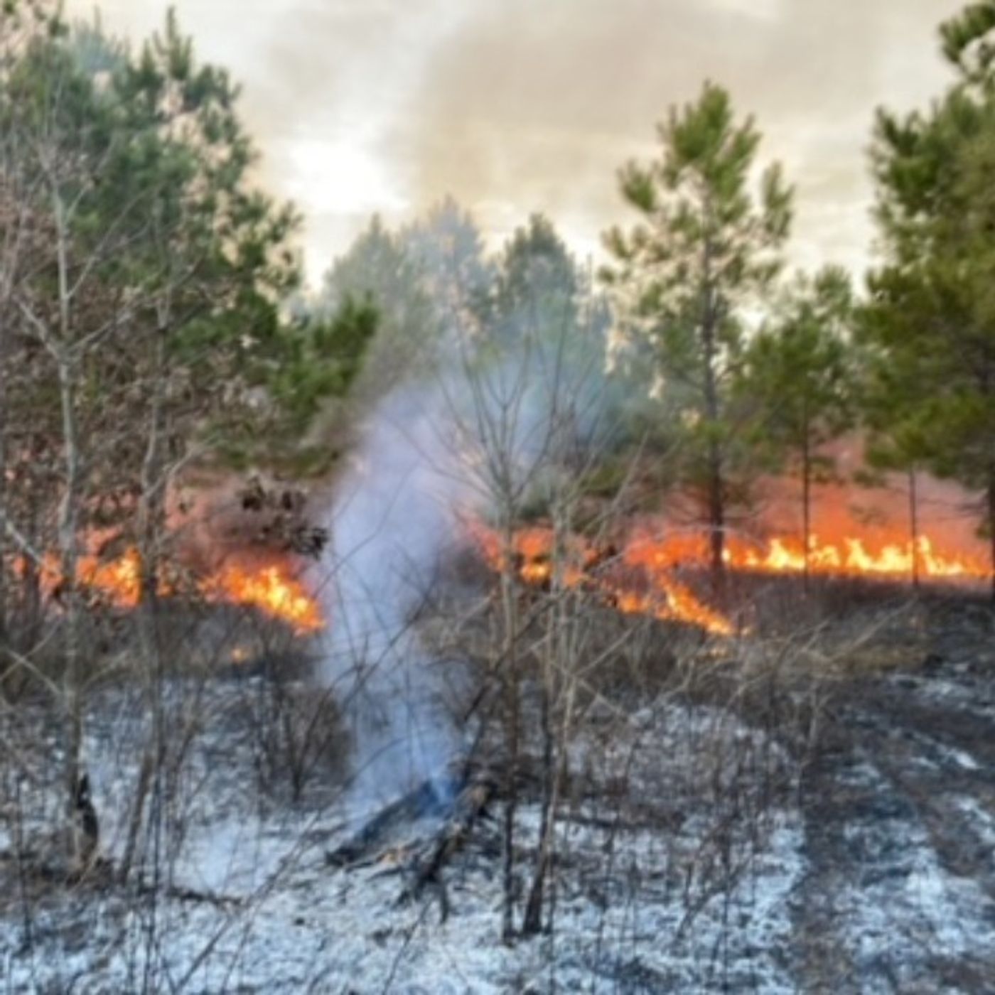 S&F Great Things for Landowners Burning in Arkansas