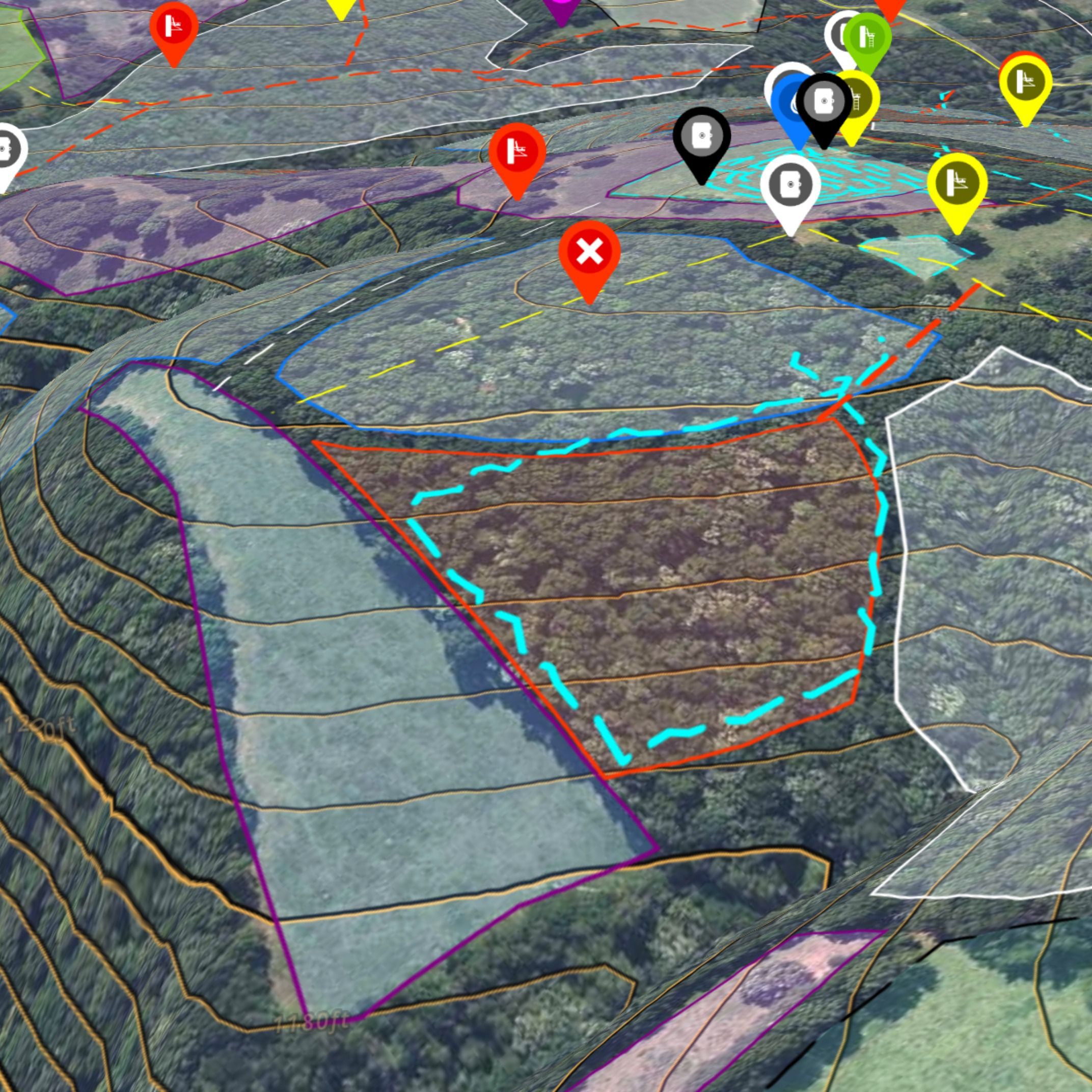 Topography: 301