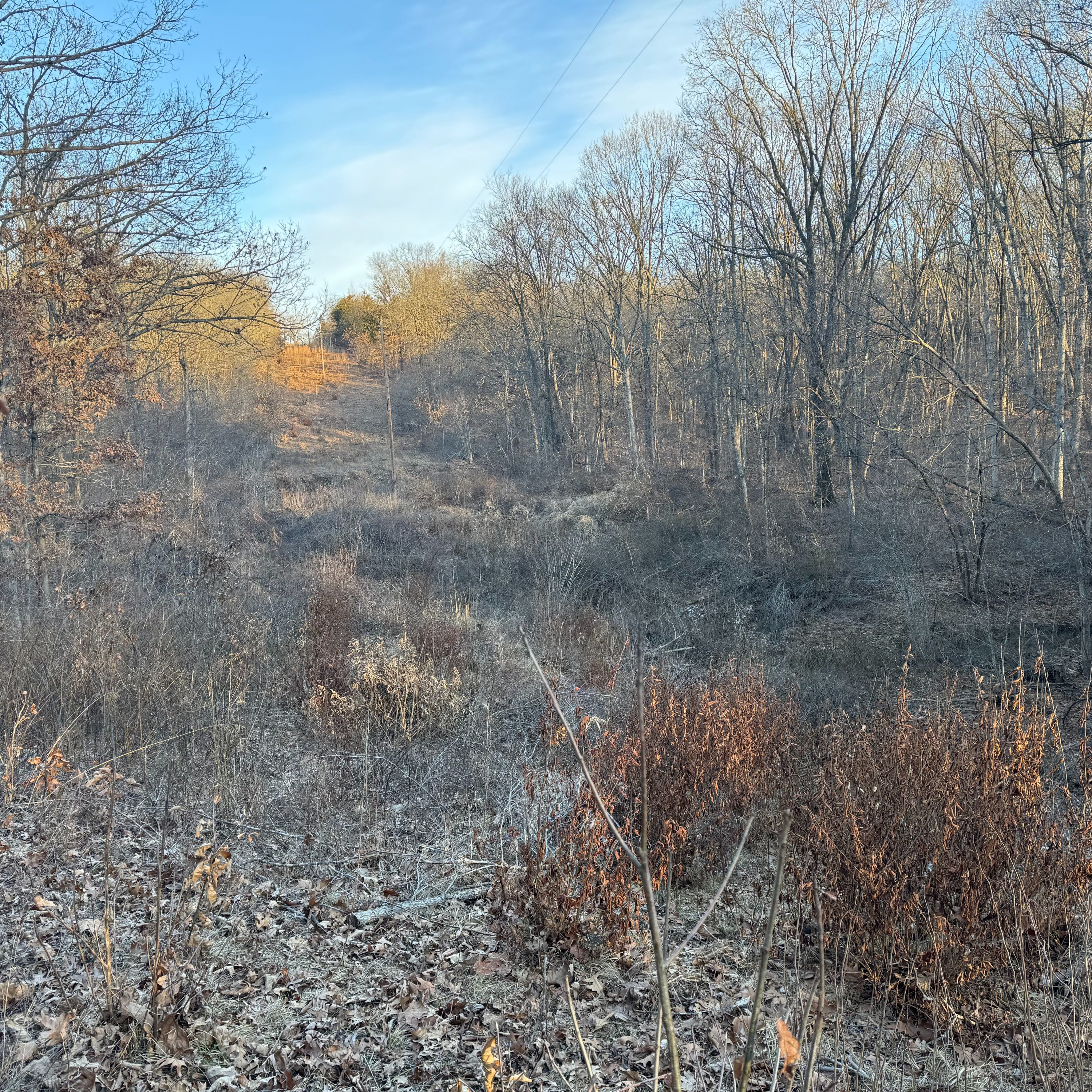 Blank Slate: Planning Exercise