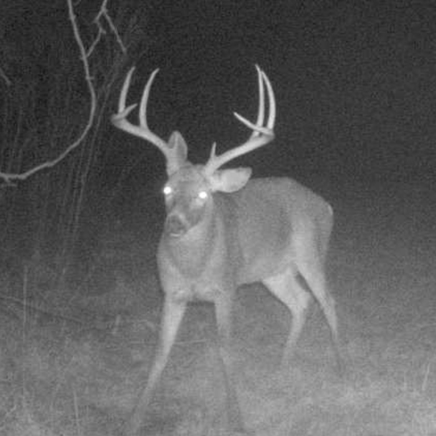 Which State Regs are the Best? — Land & Legacy - Habitat + Hunting cover
