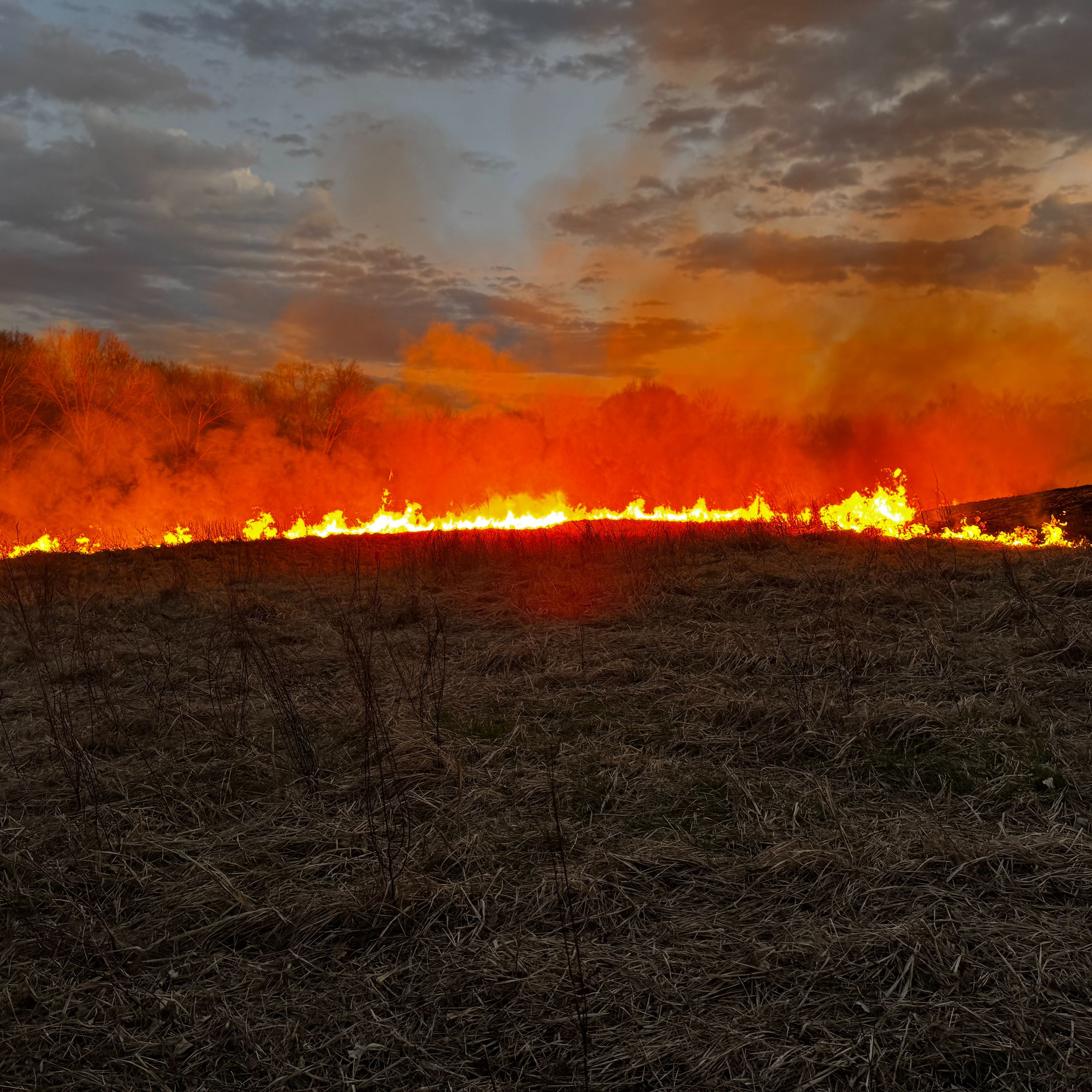 Fire, Refining, and Pruning with Brad Lotz episode artwork