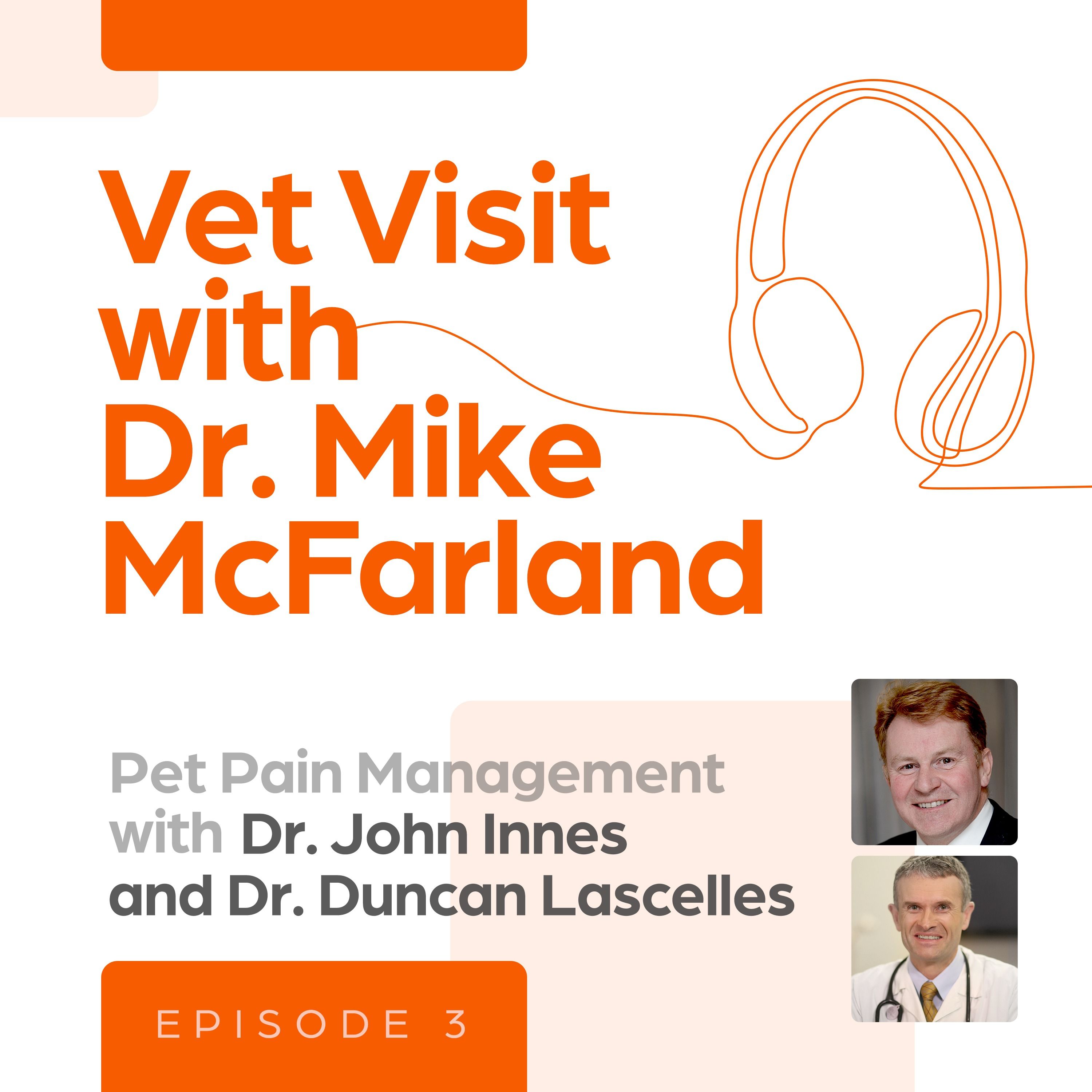 Vet Visit with Dr Mike McFarland
