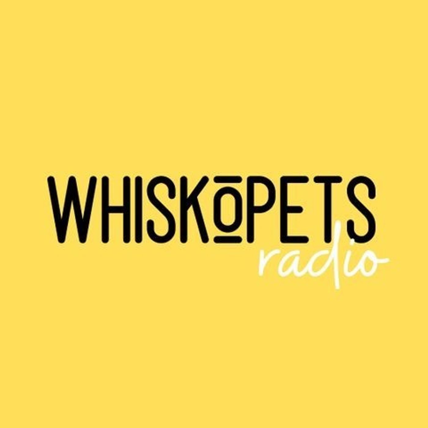 Don't speak episode artwork