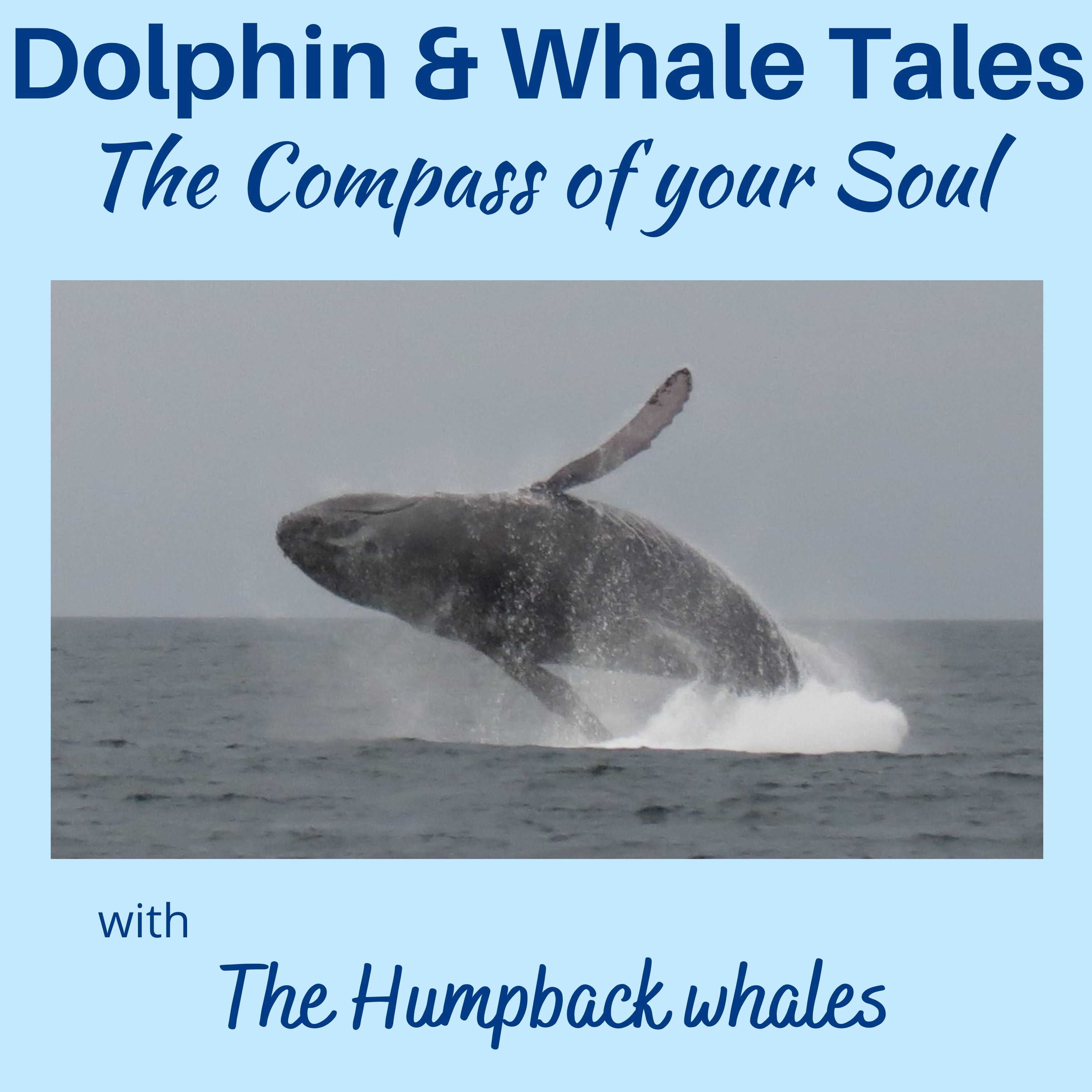 19  The Compass to your Soul with the Humpback Whales