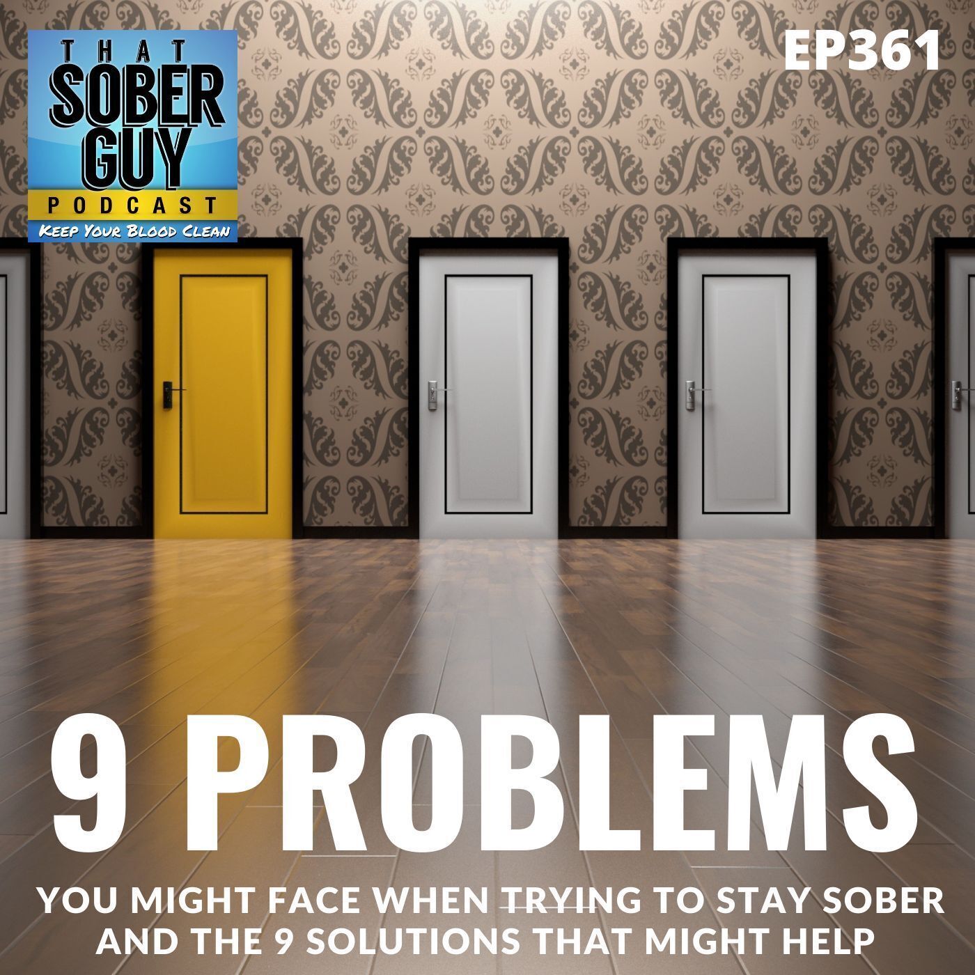 TSG Ep361 - 9 Problems You Might Face When Trying to Stay Sober and the 9 Solutions That Might Help episode artwork