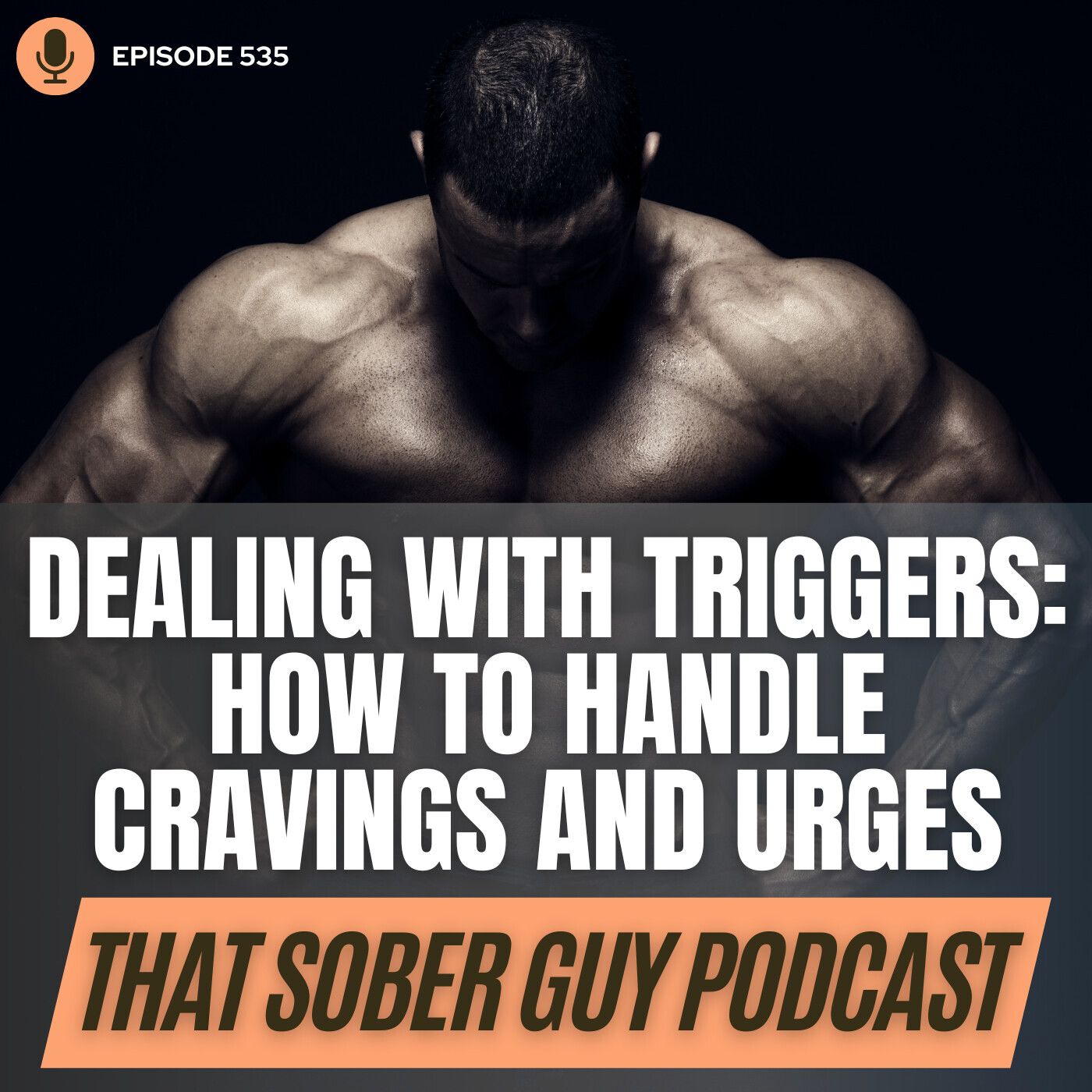 Dealing with Triggers: How to Handle Cravings and Urges to Drink episode artwork