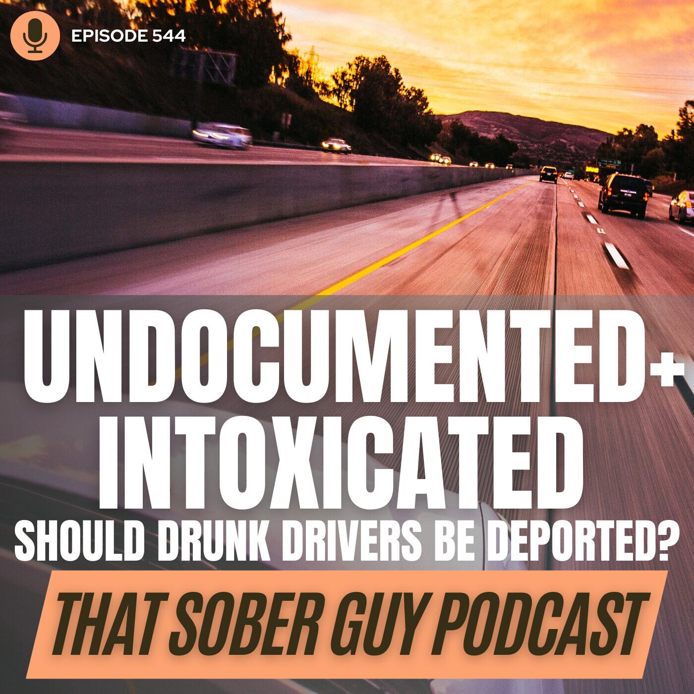 Undocumented + Intoxicated: Should Drunk Drivers Be Deported?