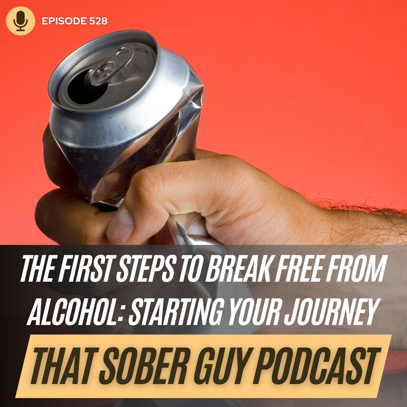 The First Steps to Break Free from Alcohol: Starting Your Journey episode artwork