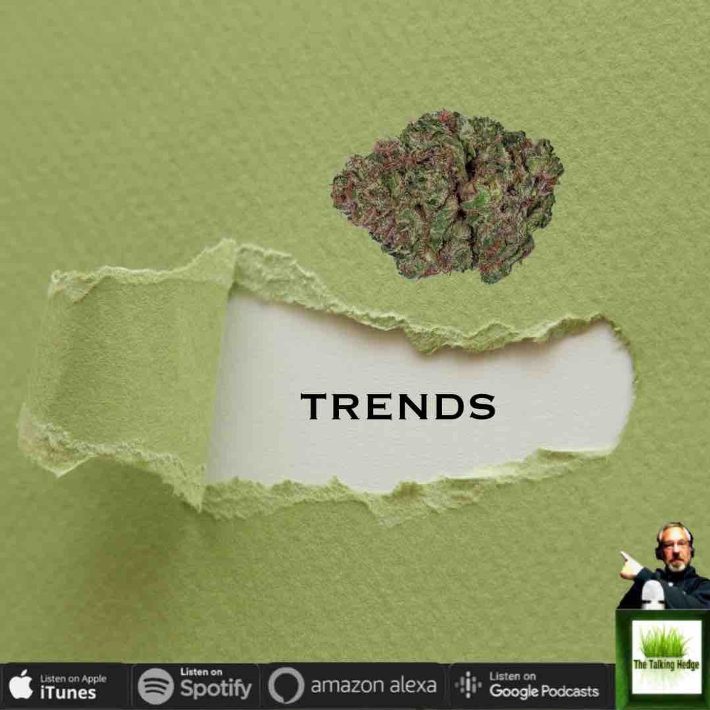 Cannabis Flower: A look at category trends & performance