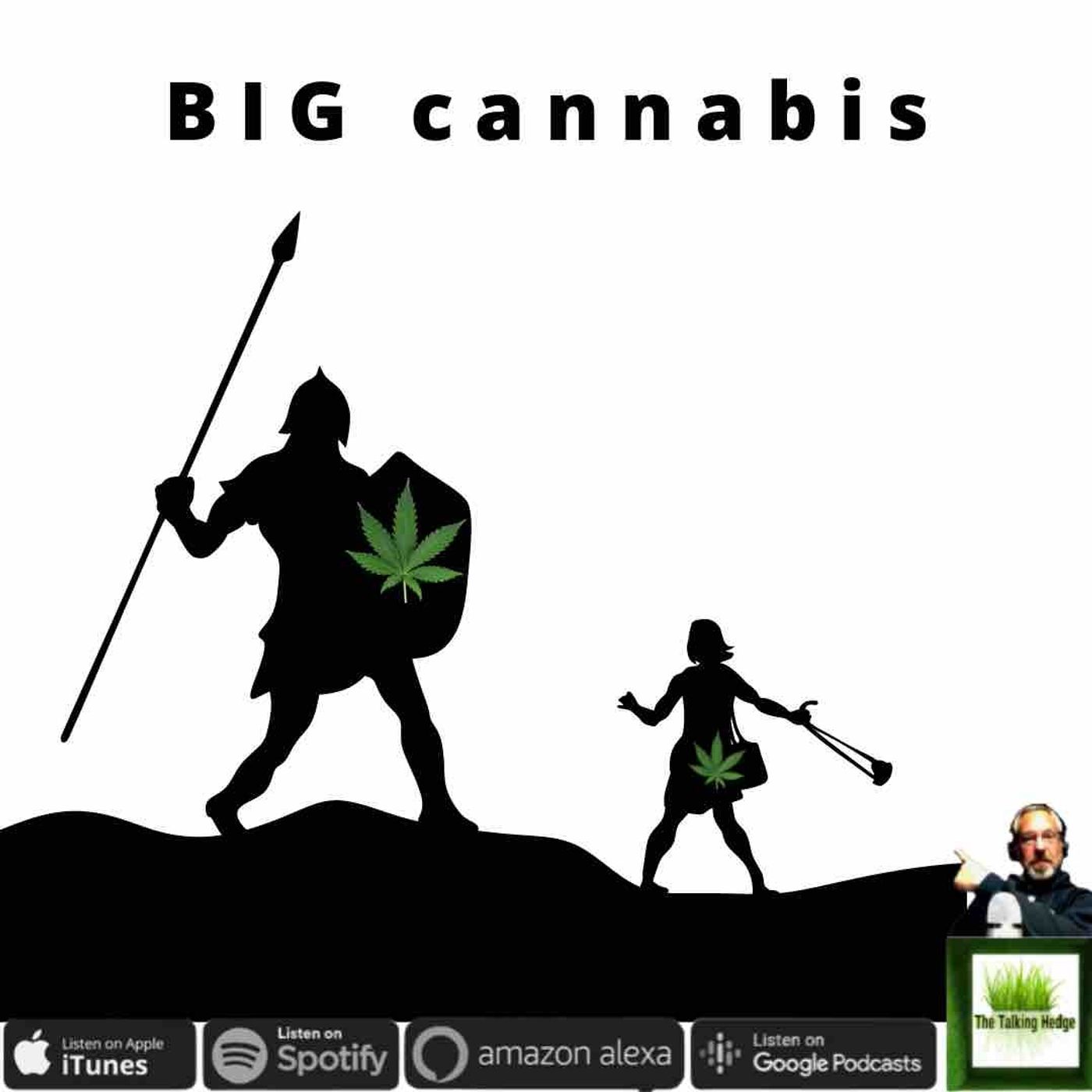 BIG cannabis