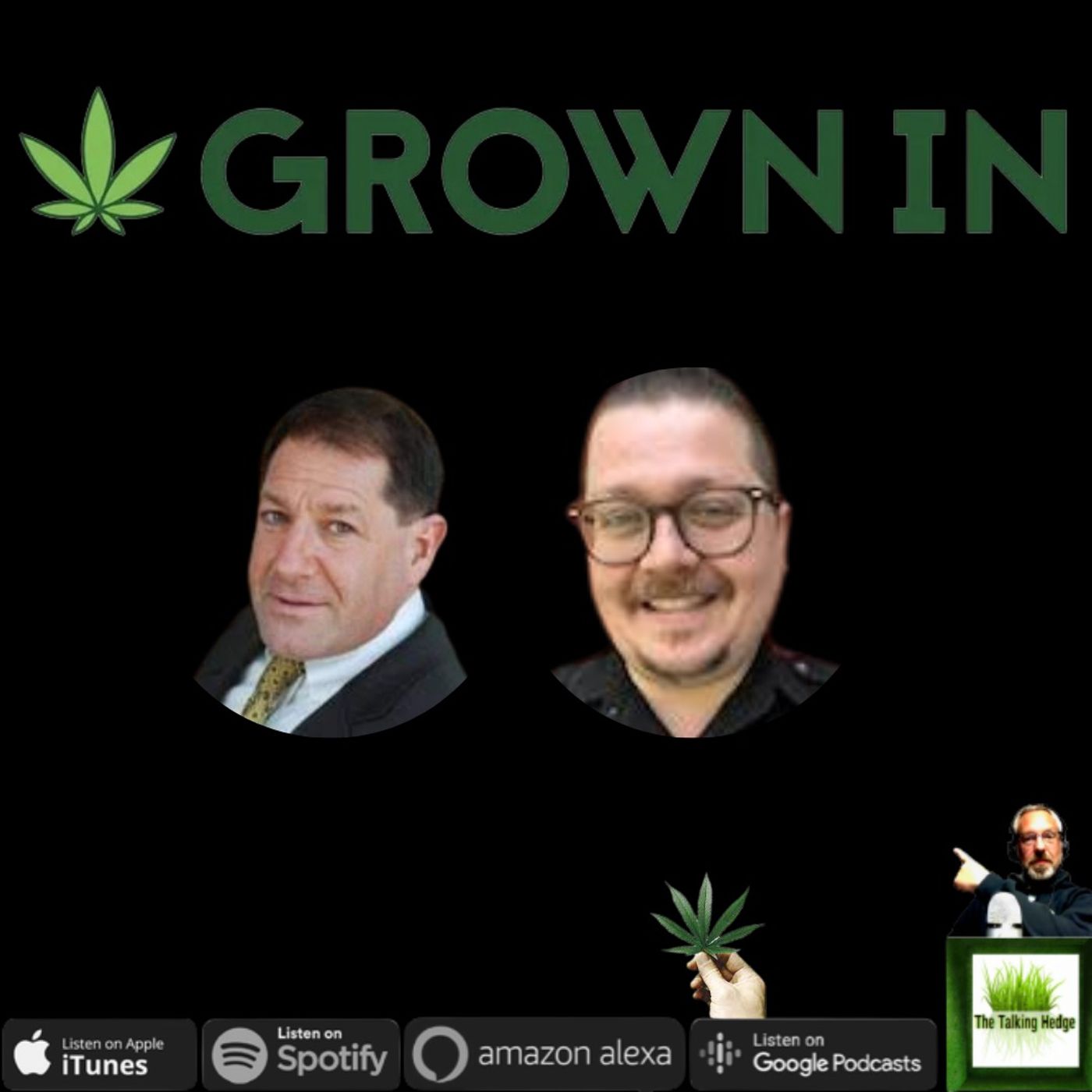 Cannabis Federal Legalization in the Media