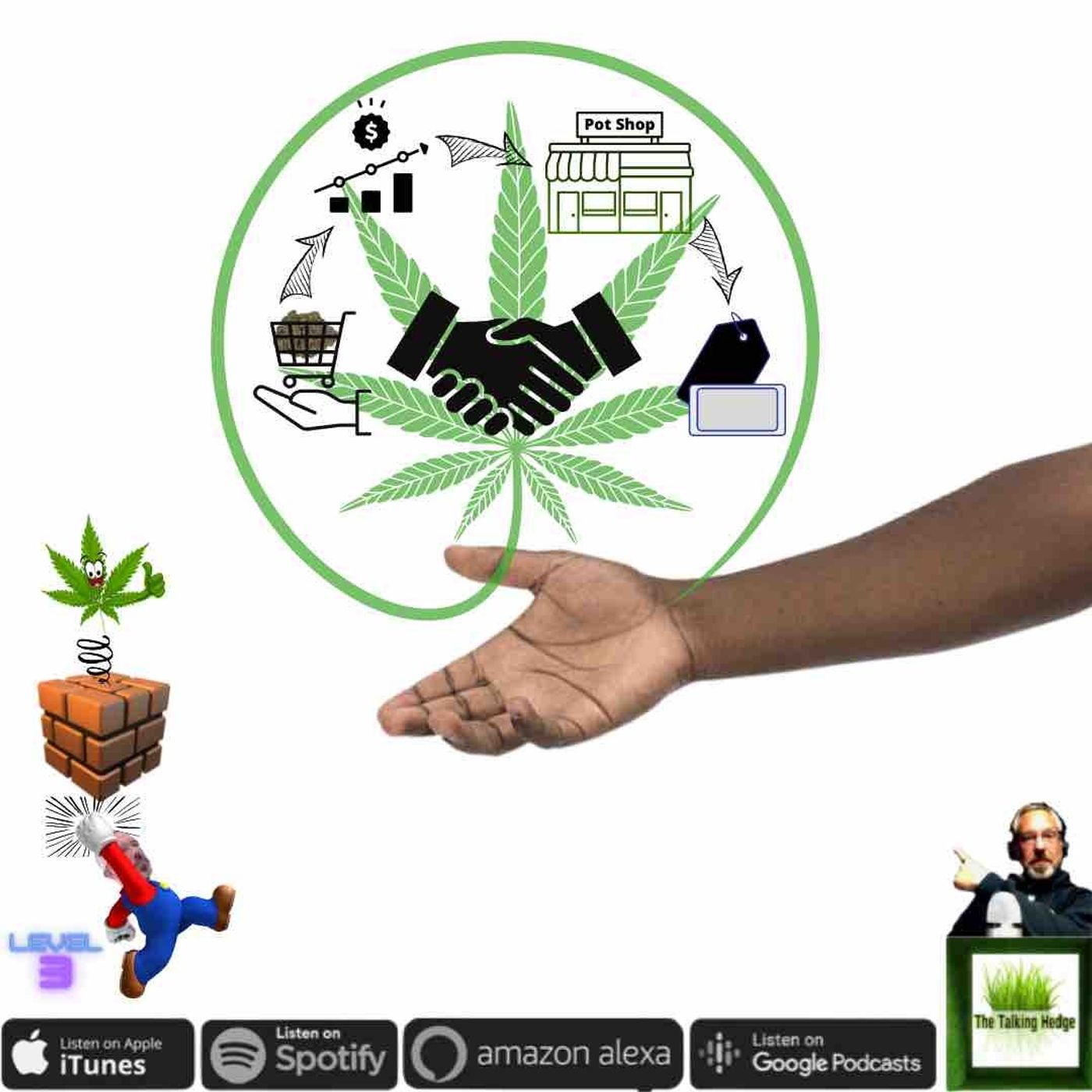 How to Start a Cannabis Business: Category Sales, Price & Marketplace