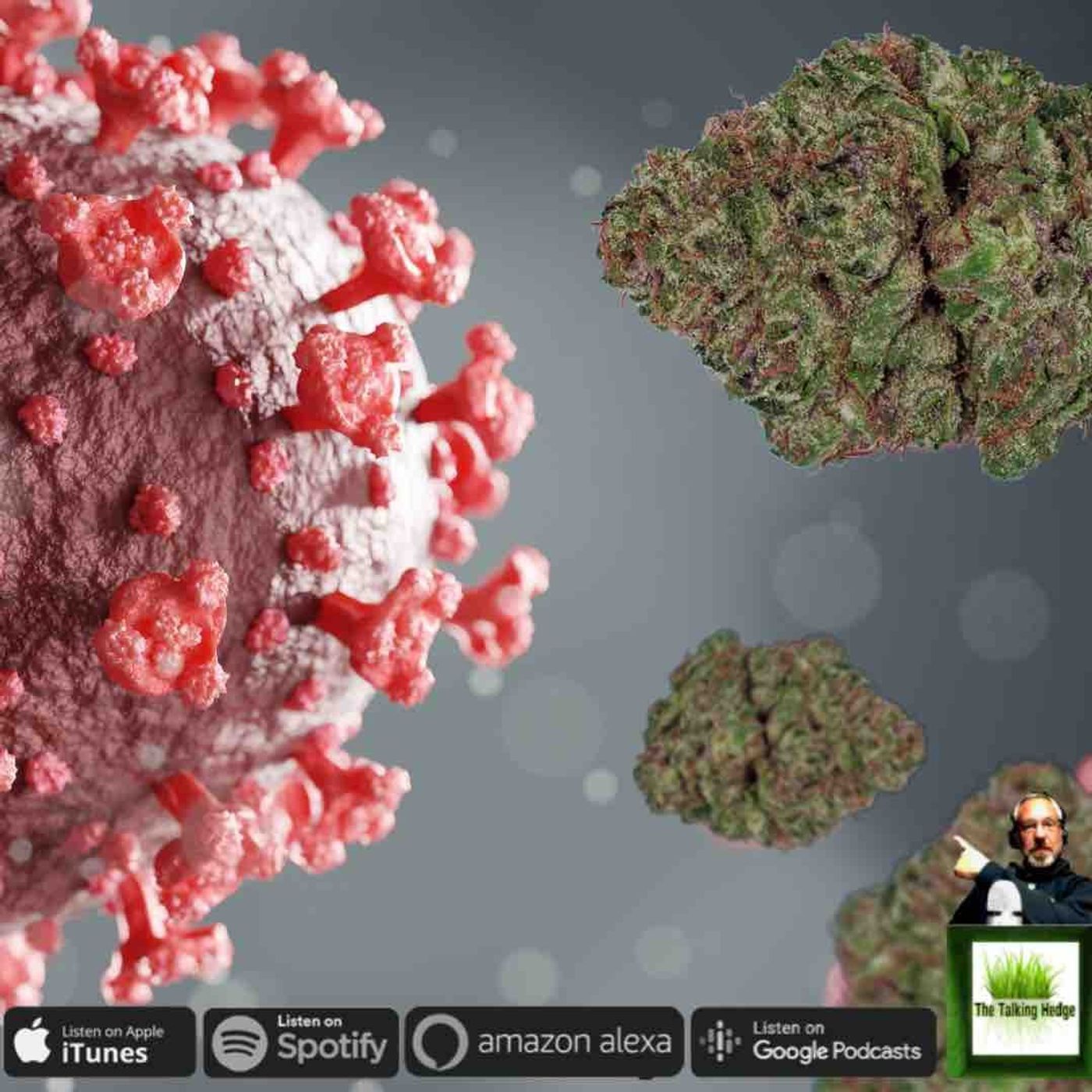 Cannabis Industry in a Pandemic