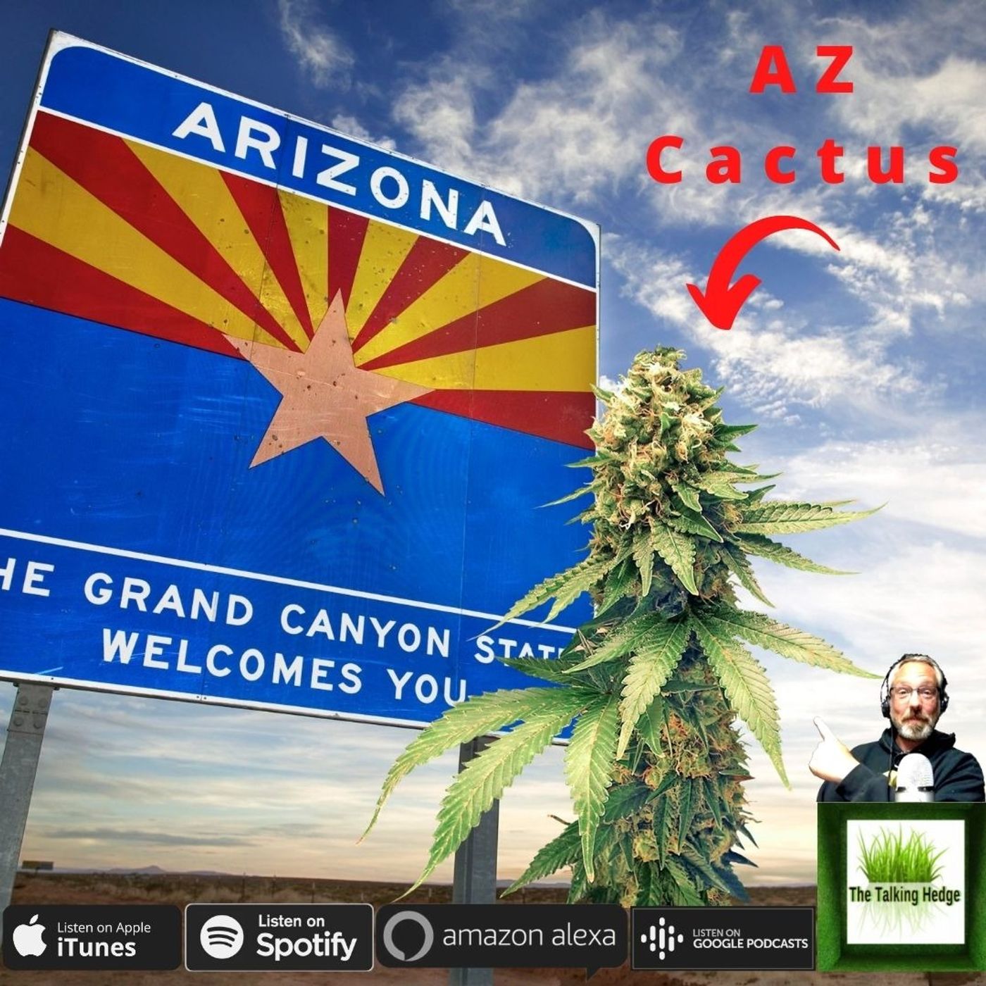 Arizona Adult-Use Cannabis Market Update