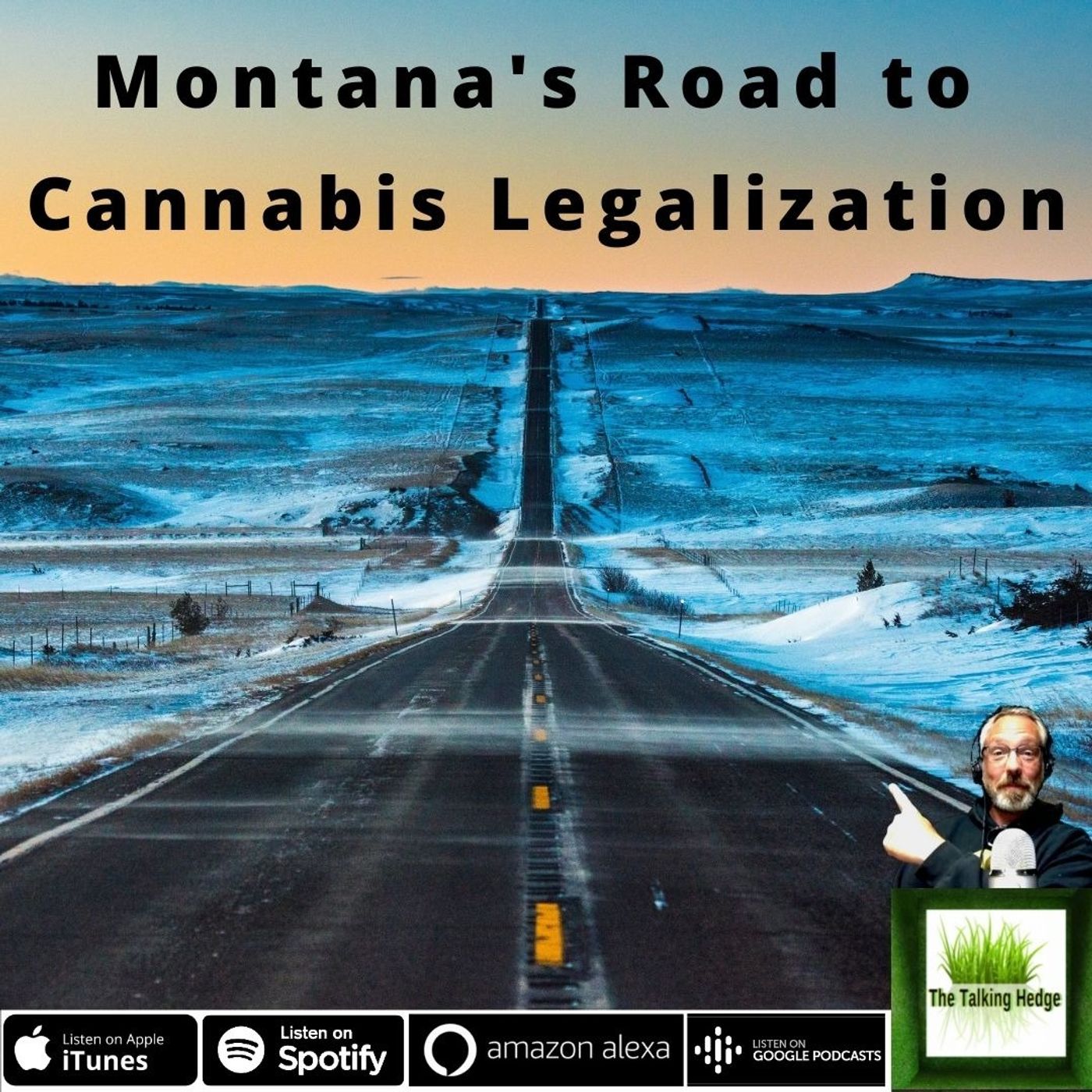 Montana's Cannabis Market Overview