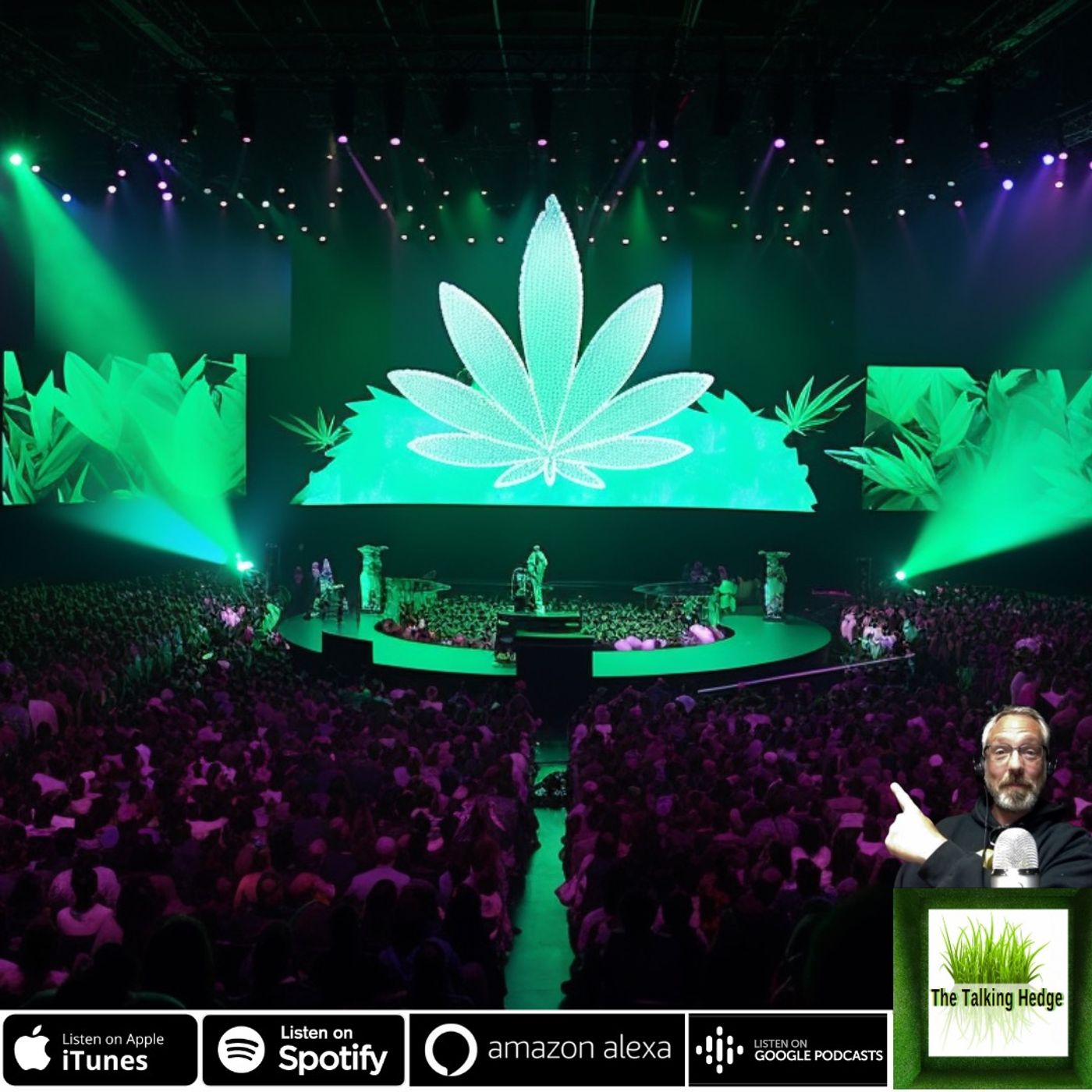 Collaborating and Connecting at Cannabis Expos
