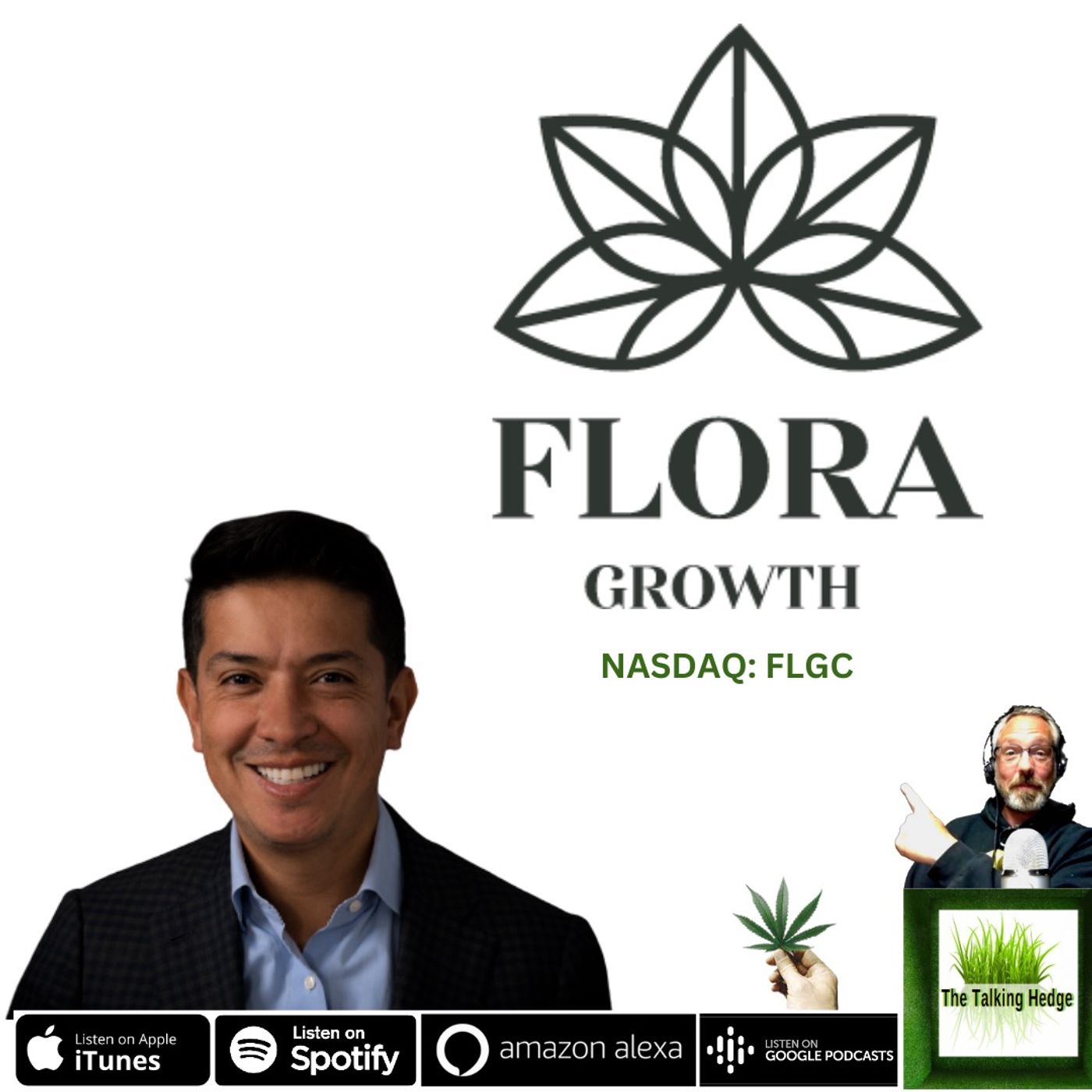 Insights from an International Cannabis Company